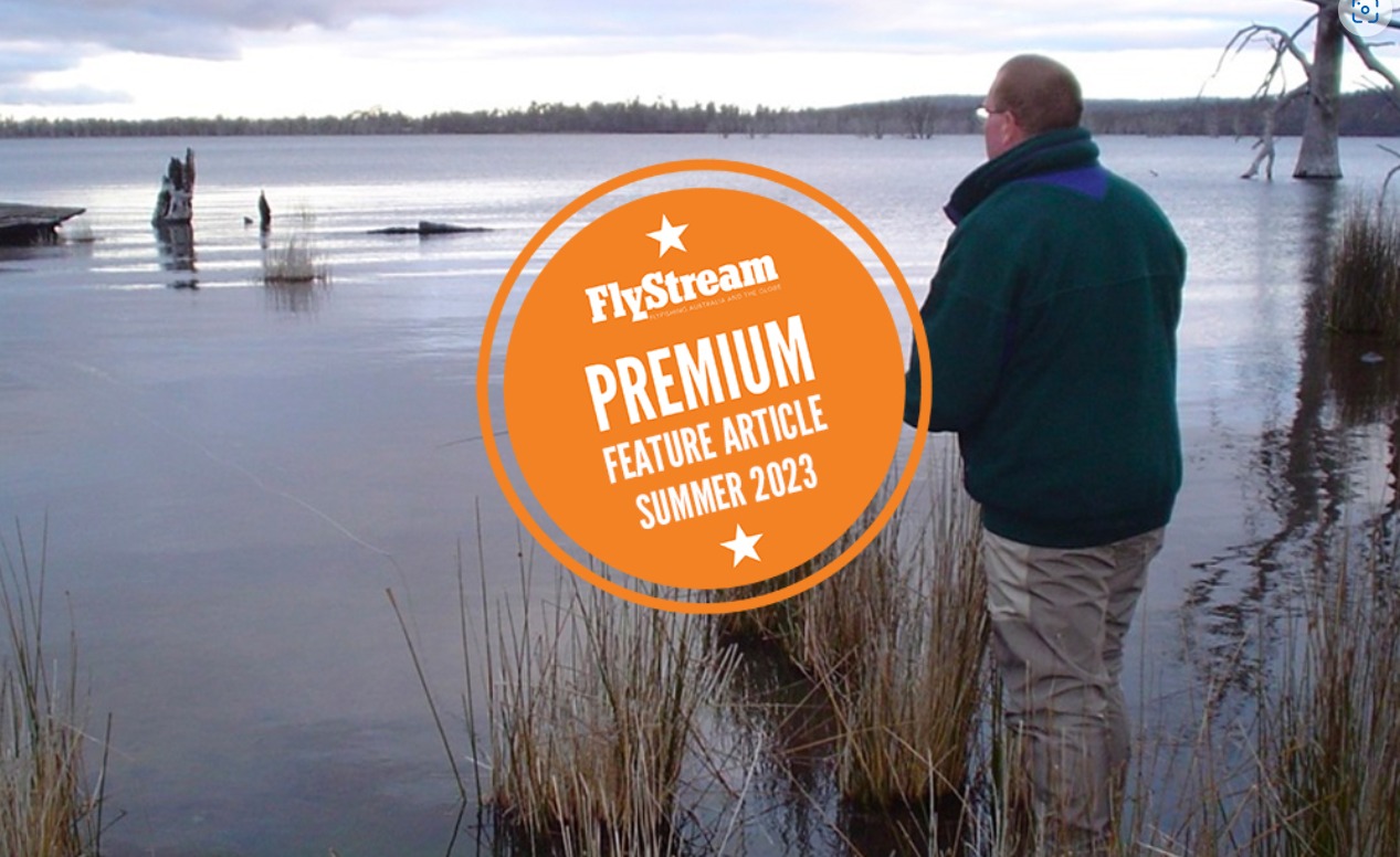 FlyStream - Peter looks back on the wins and losses during... | Facebook