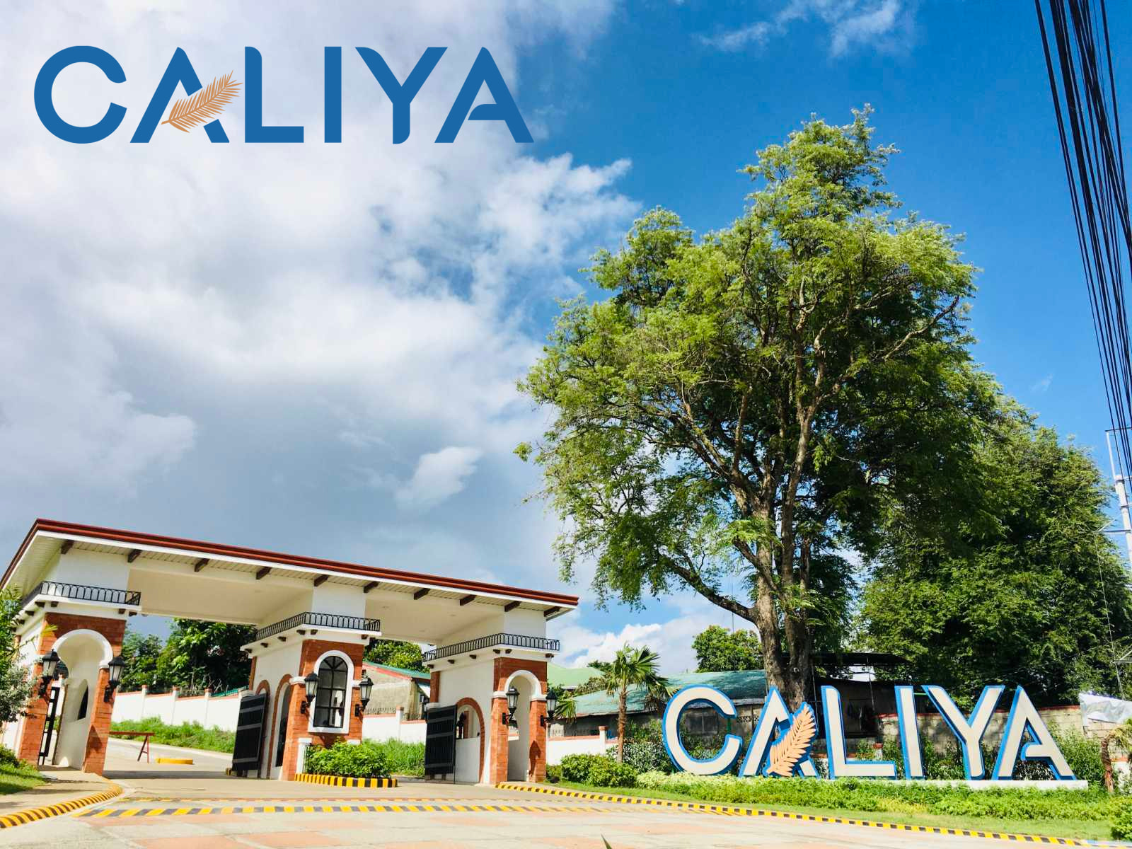 CALIYA CANDELARIA Along National... - Caliya Candelaria