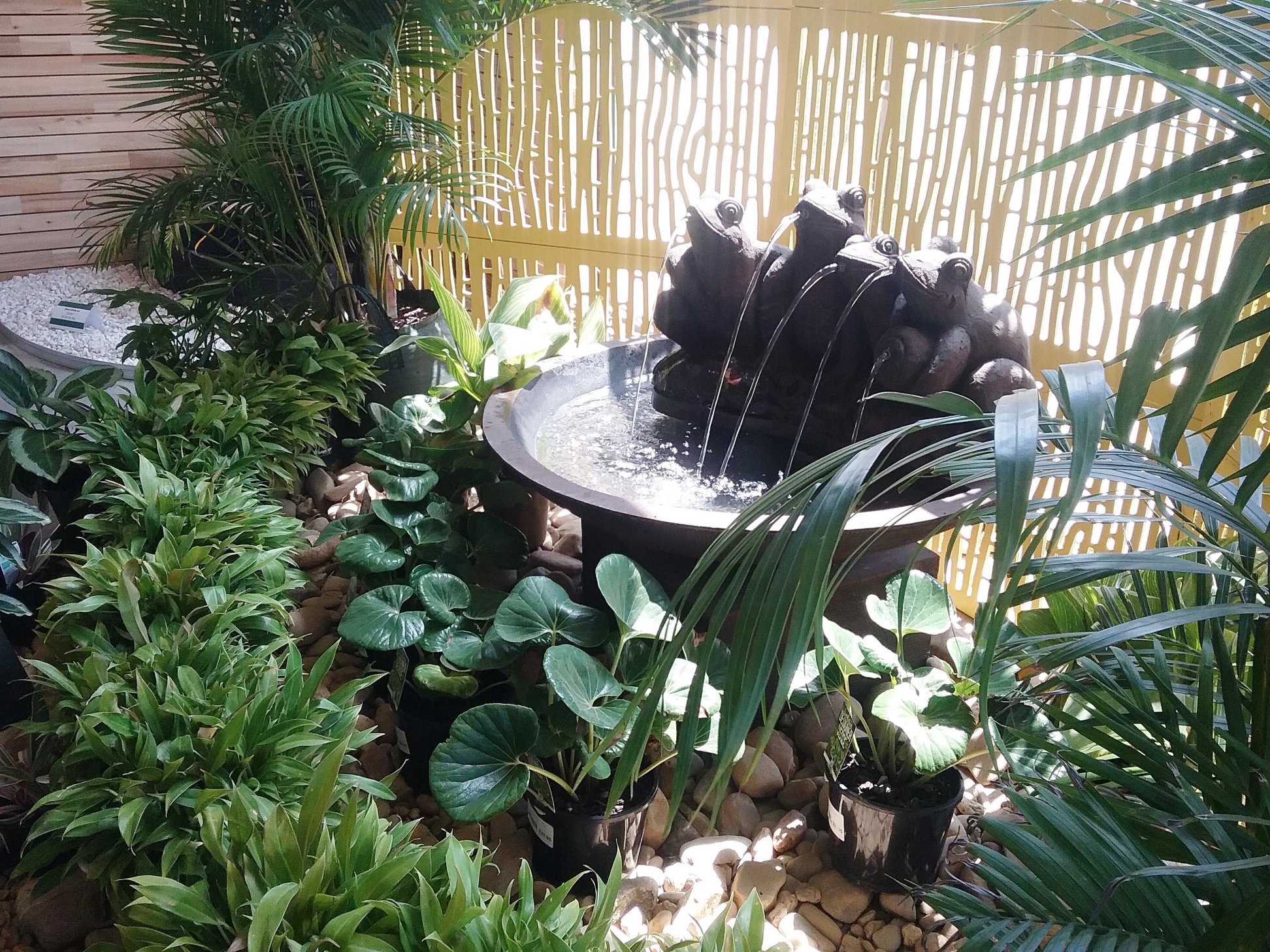 New Water Feature Display - All Green Nursery & Garden