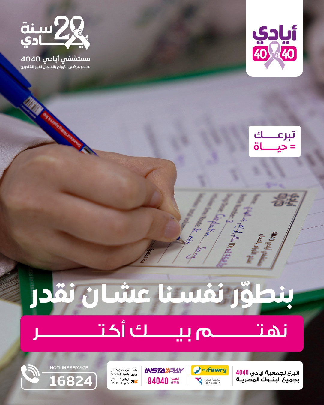 Ayady 4040 | Alexandria