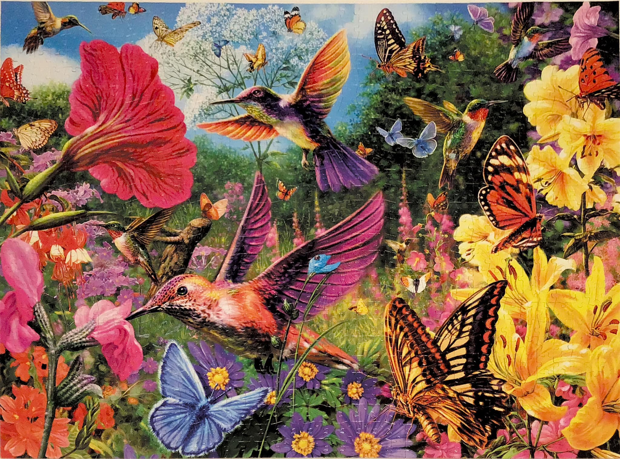 1000-Piece Hummingbird Jigsaw Puzzle - Beautiful Right-Flying Bird Portrait Challenge