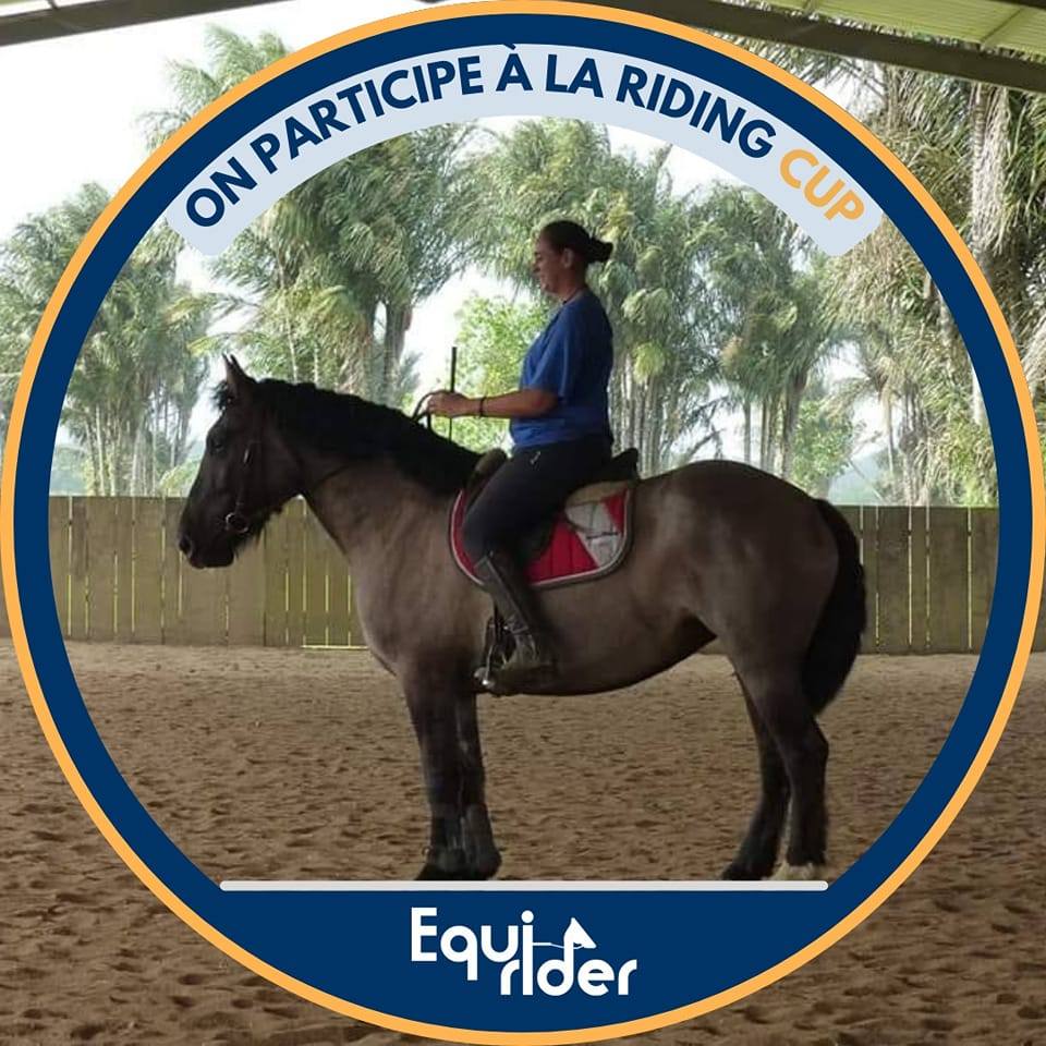 Royal Ranch Equitation Guyane | Macouria French Guiana