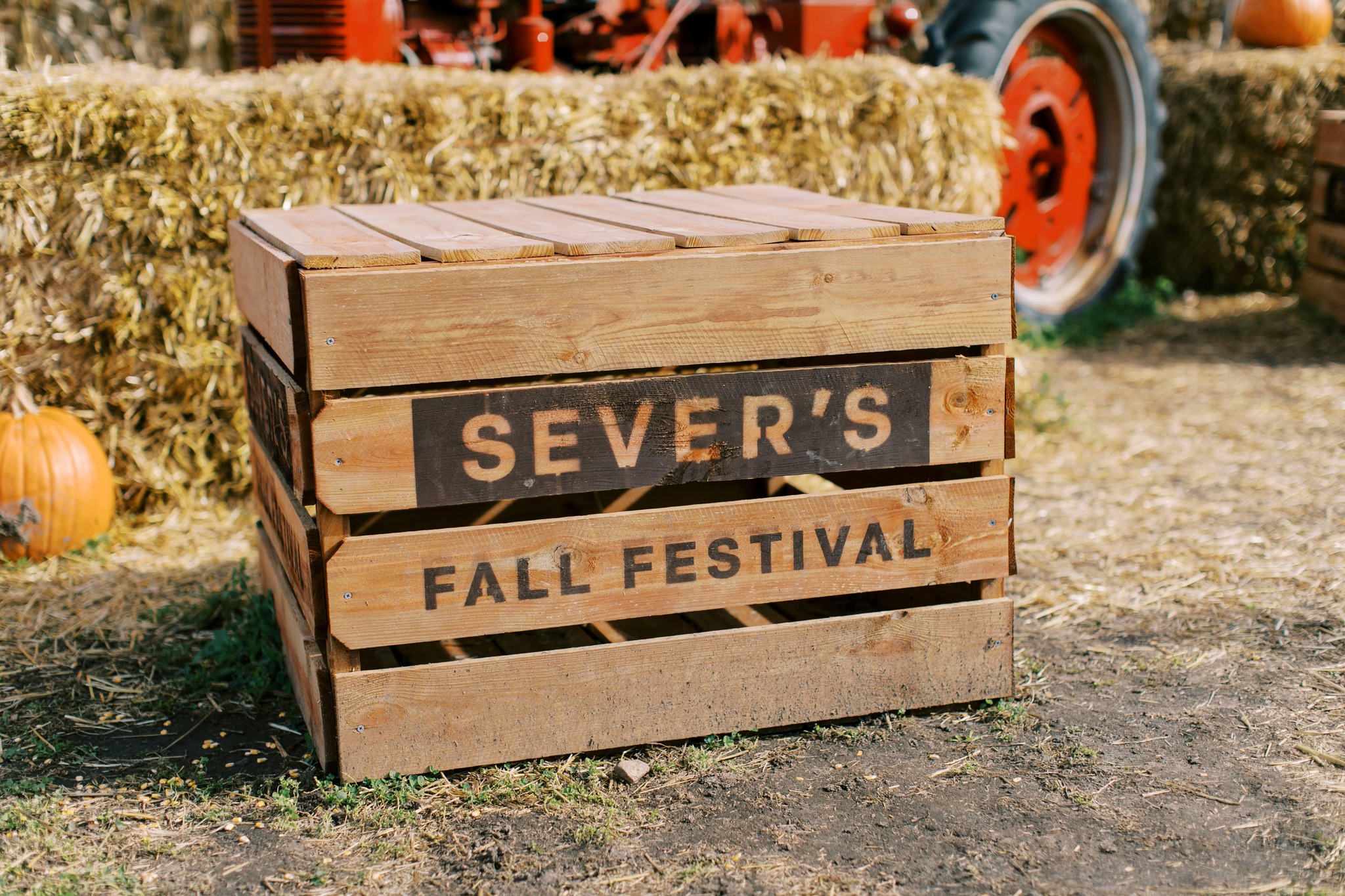 Sever's Fall Festival