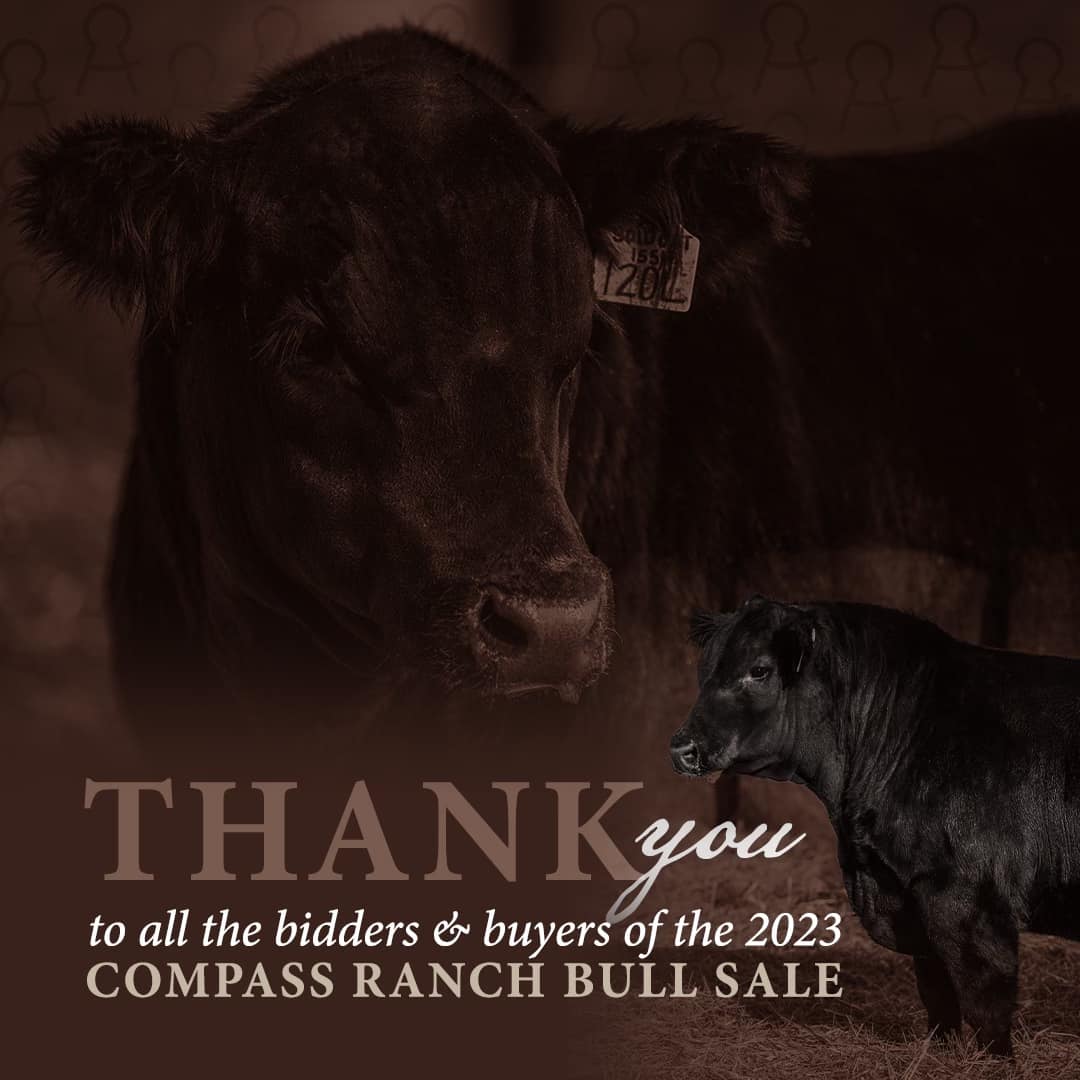 Compass Ranch | Calgary AB