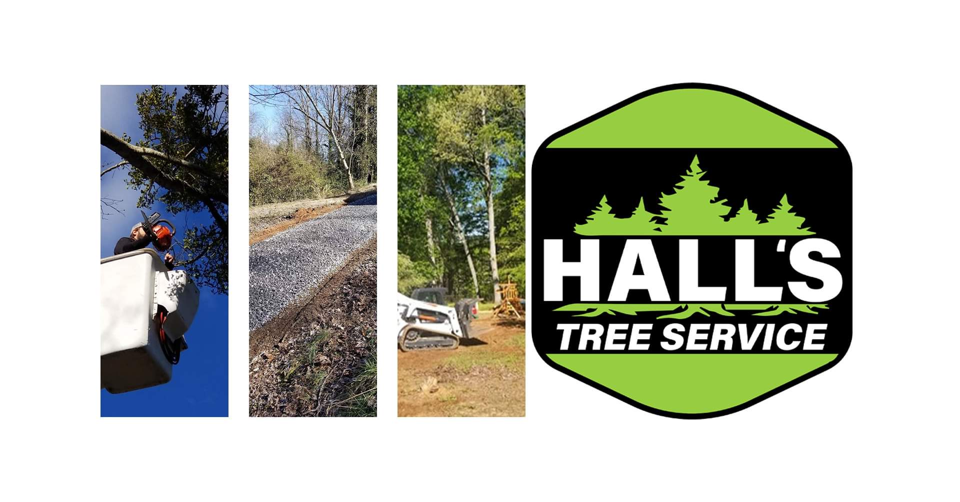 Hall's Tree Service | Greenville SC