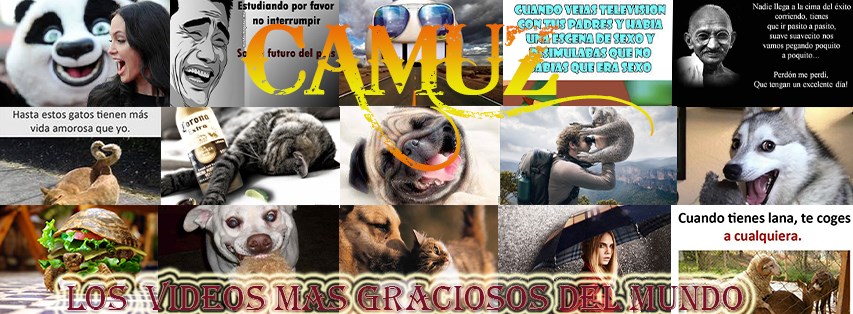 Los videos mas graciosos del mundo | Guerrero