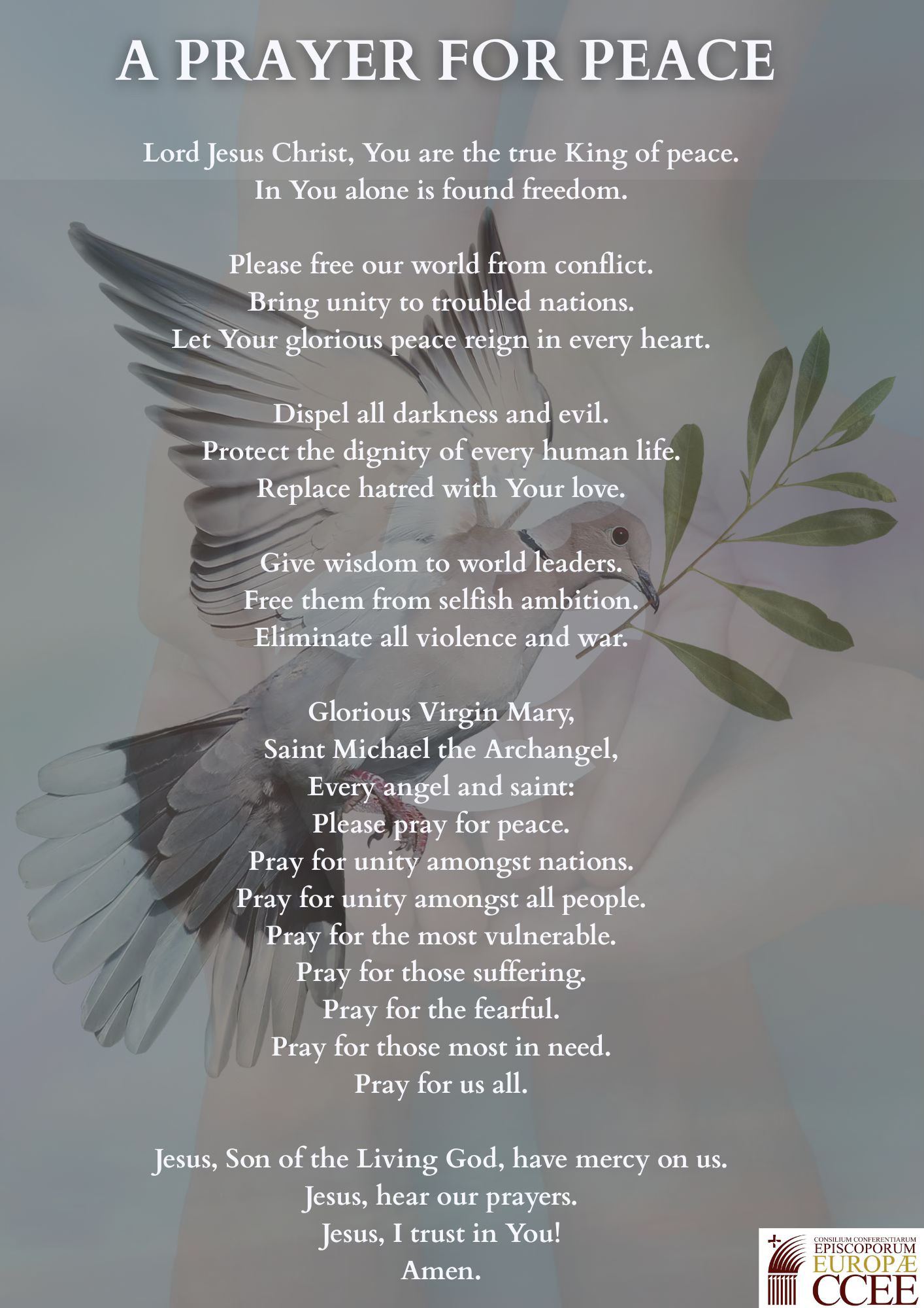 🕊... - CCEE - Consilium Conferentiarum Episcoporum Europae | Facebook
