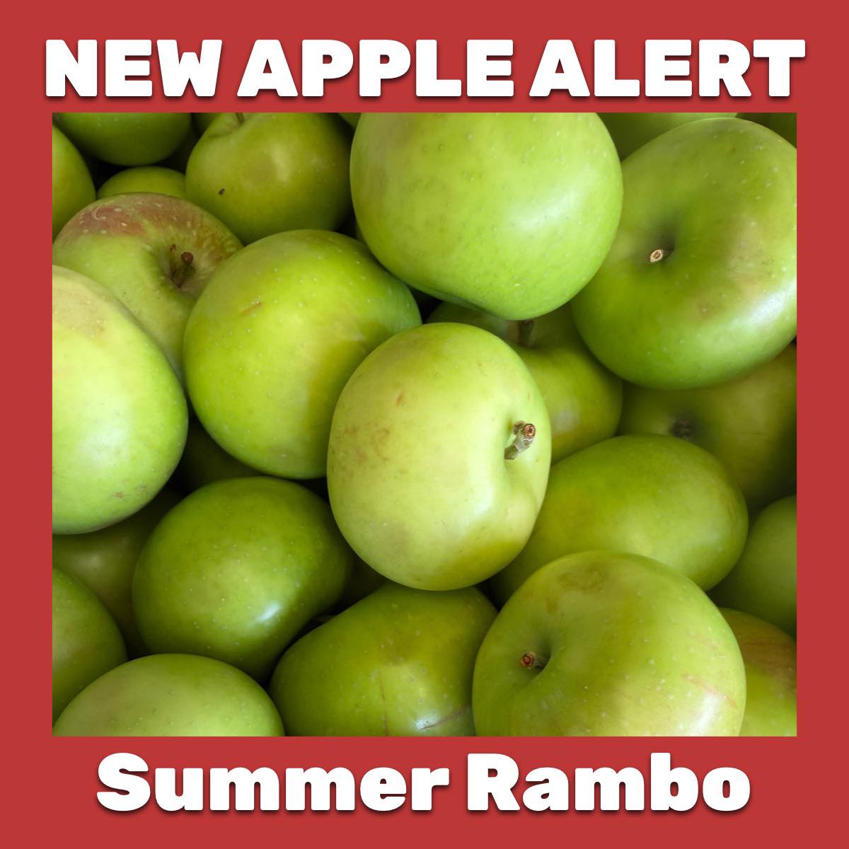 Cider - 🍎 NEW APPLE ALERT 🍎 Summer Rambo apples have arrived! $.99/lb ...