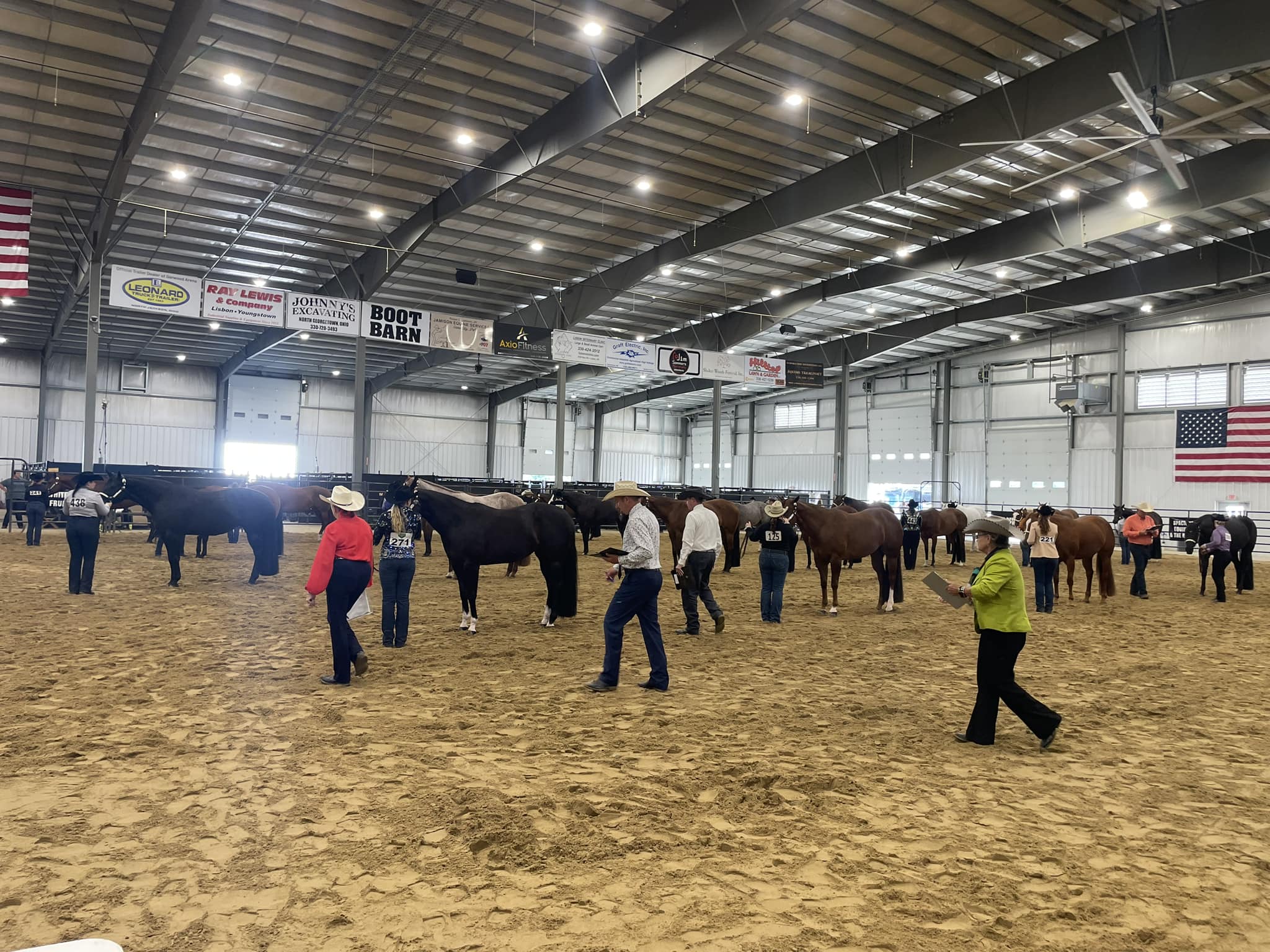THE LITTLE BUCKEYE!!! Ama... - Mark Harrell Equine Marketing