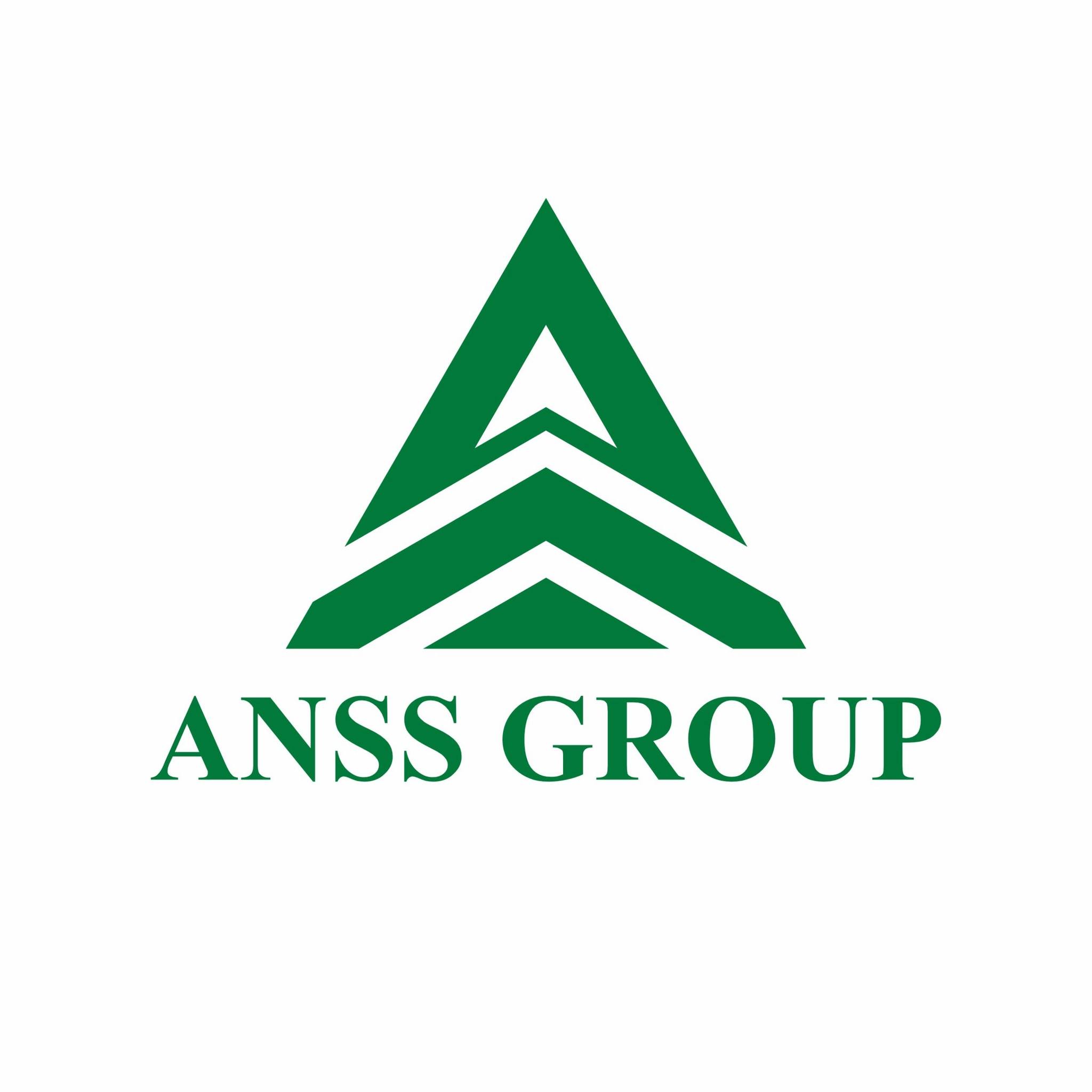 Anss Group | Lahore