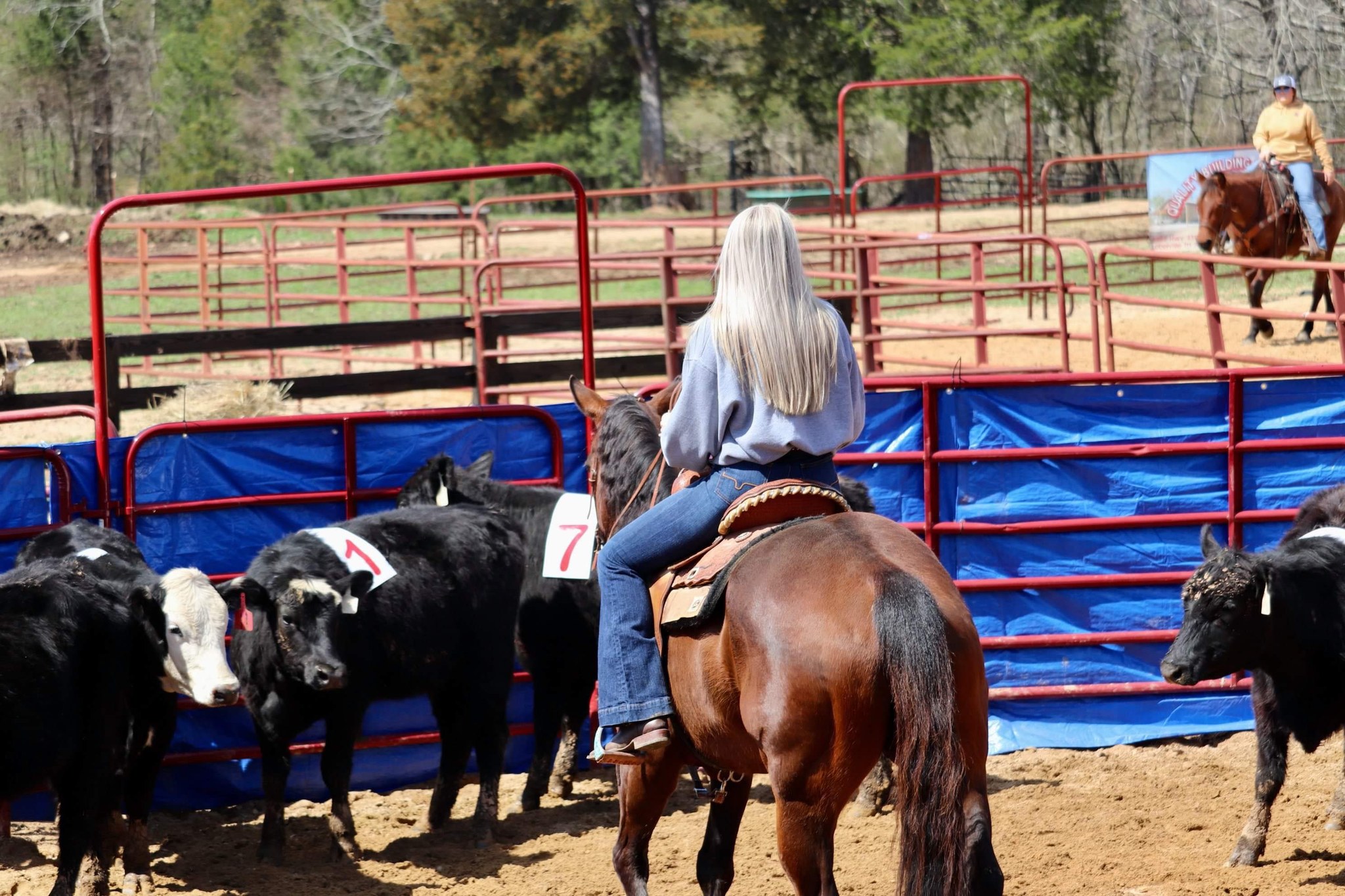 Cow Horse Co.