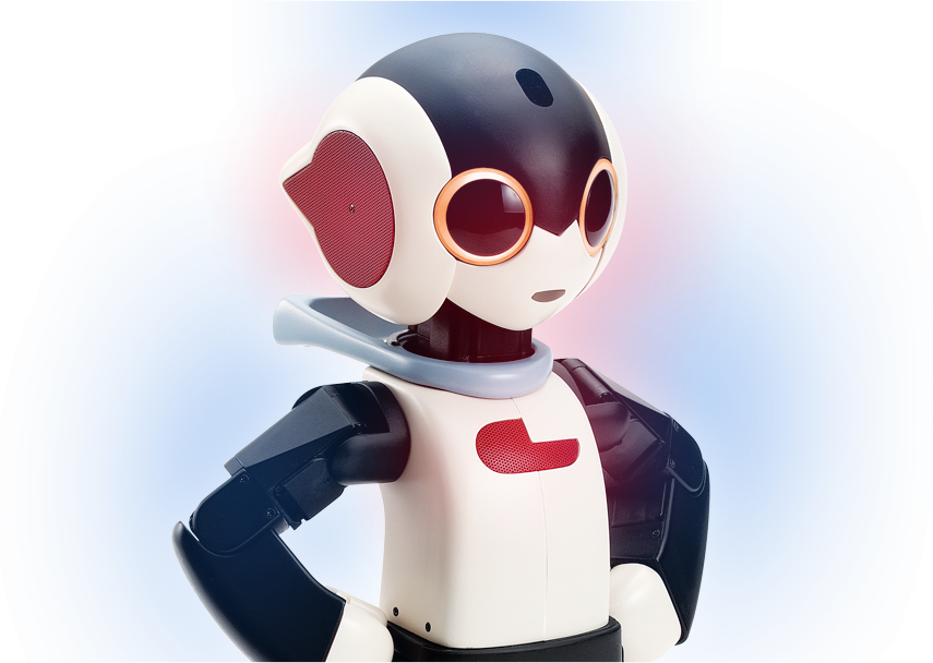 Build Your Own Robi