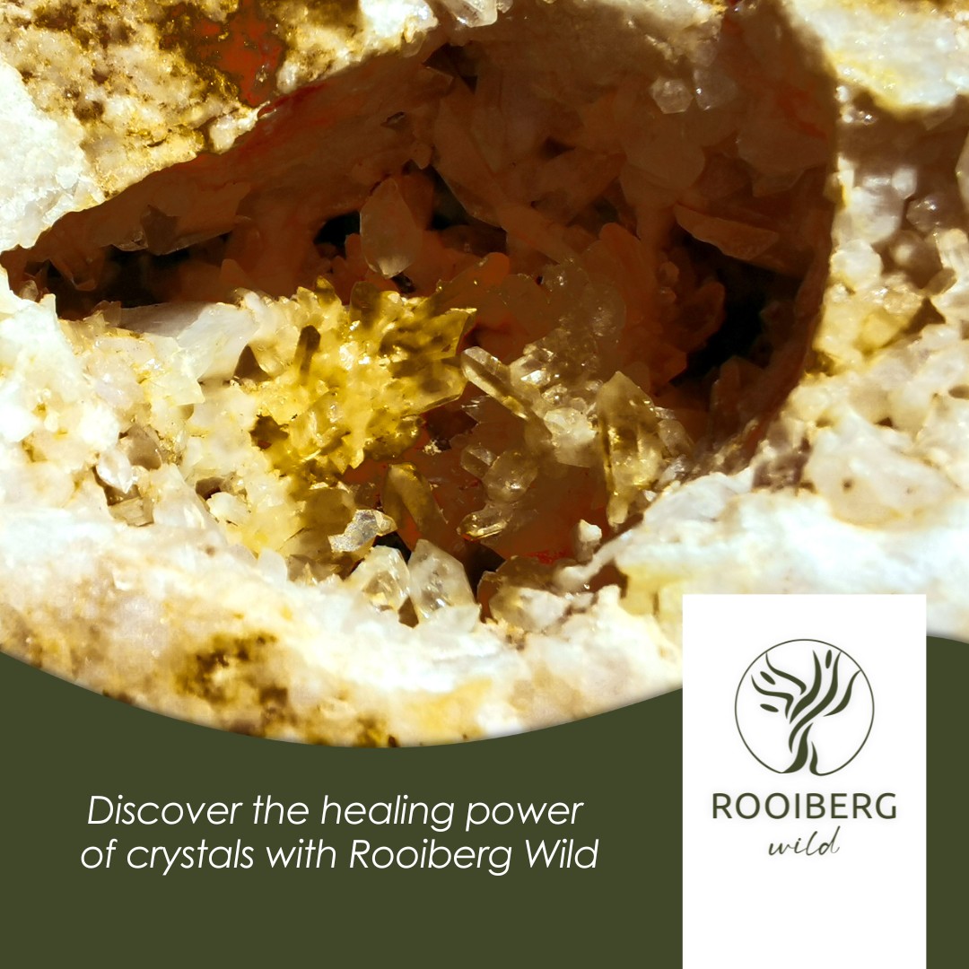 Rooiberg Wild Private... - Rooiberg Wild Private Game Reserve | Facebook