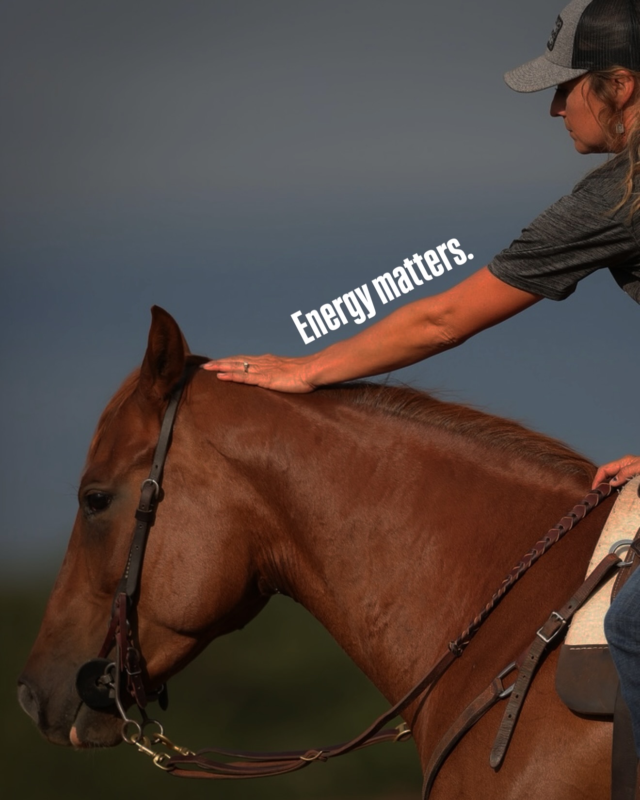 Triple V Ranch Performance Horses | Coldspring TX