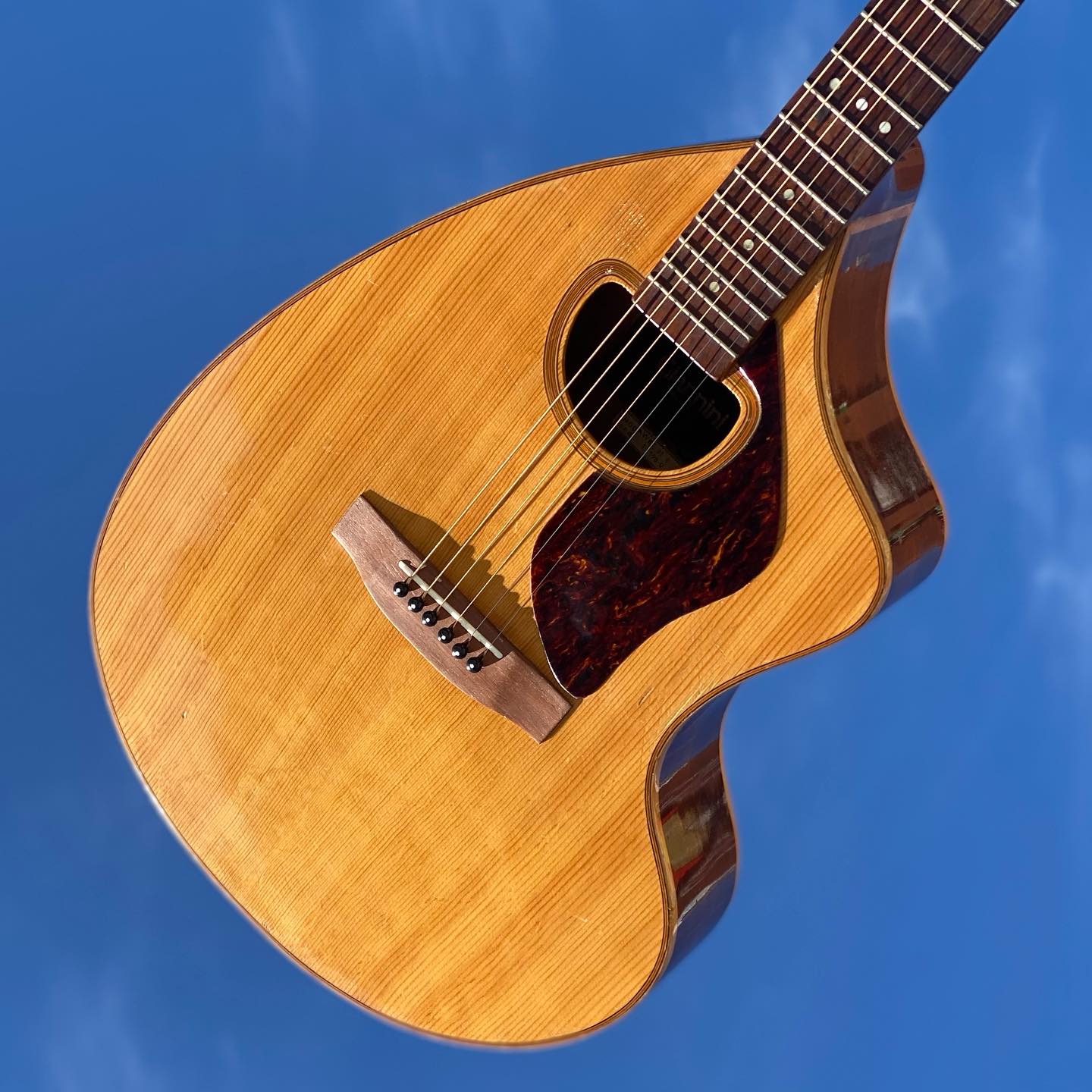It's #WeirdAssWednesday!!! #GuitarOfTheDay: Early 1970's Early 70s