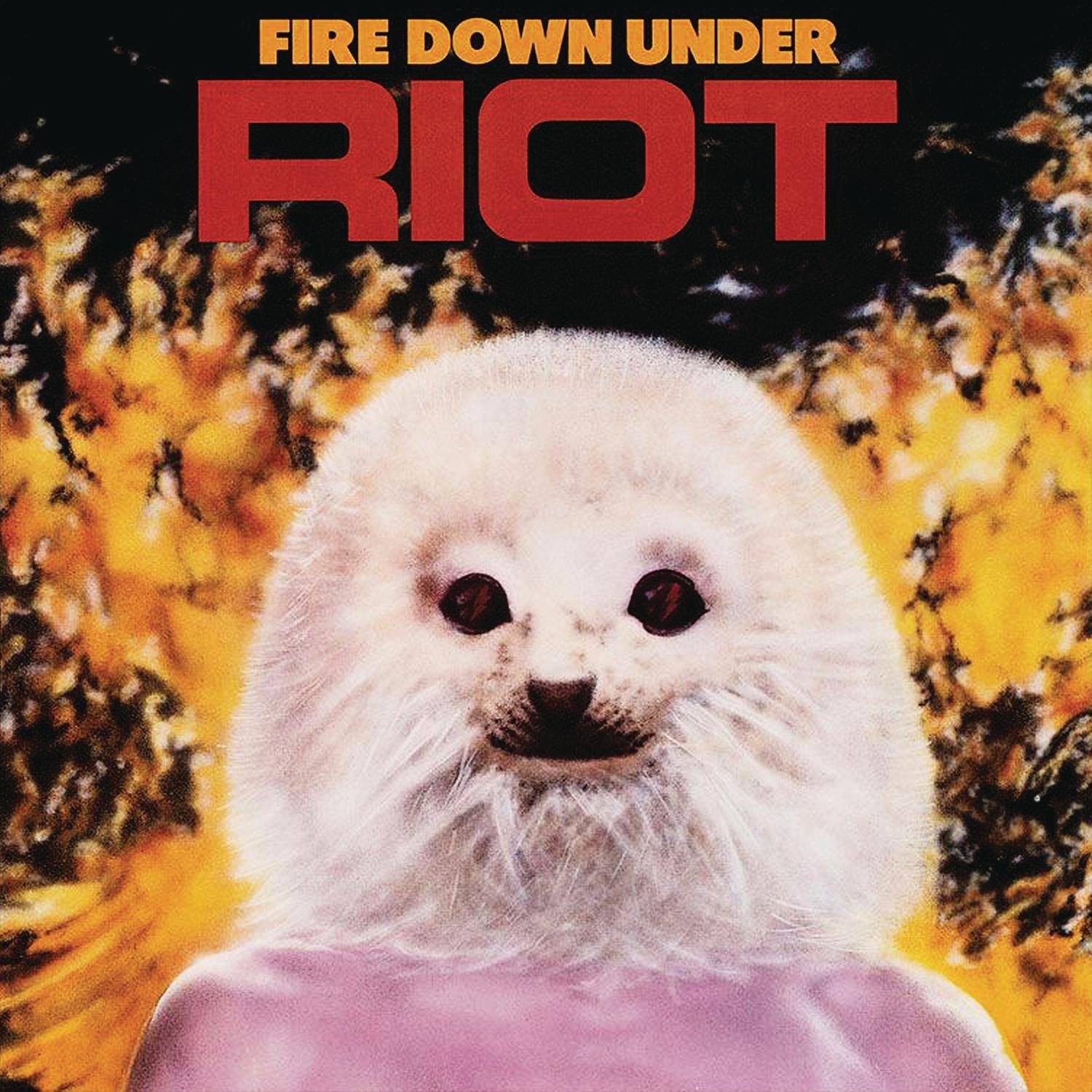 History of the band RIOT