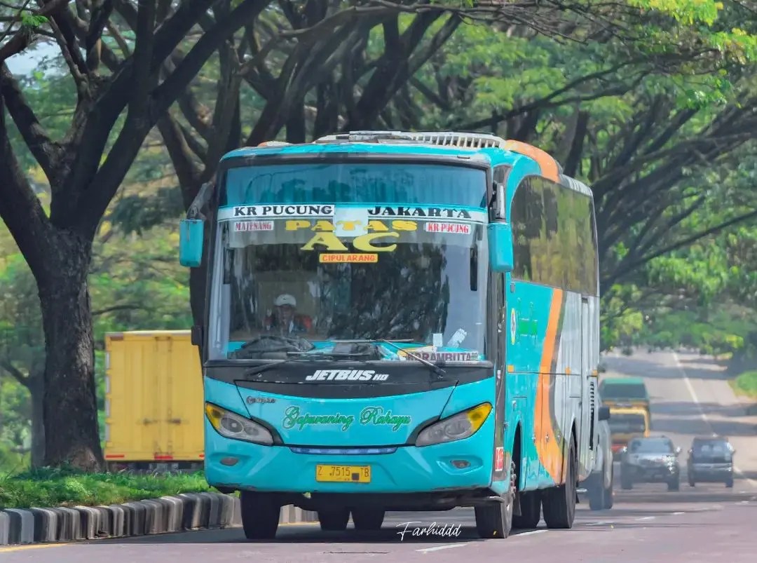 Gallery_bus_javas