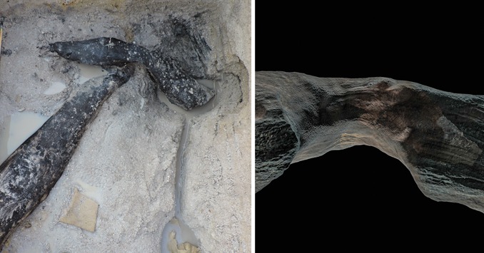 Archaeology - A 476,000-year-old pair of interlocking logs joined by a ...
