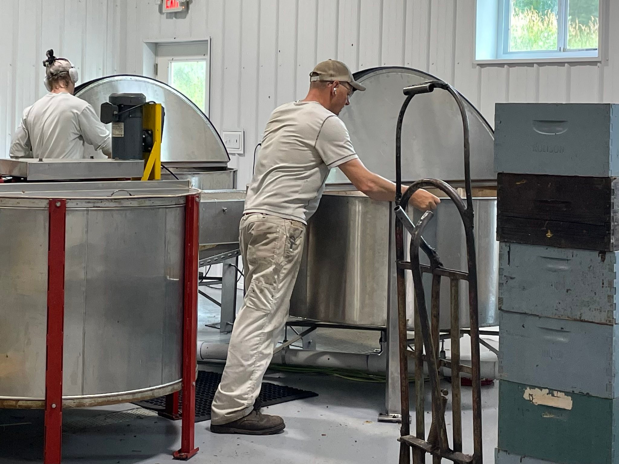 Rulison - We're harvesting our first summer honey today, bringing pure ...