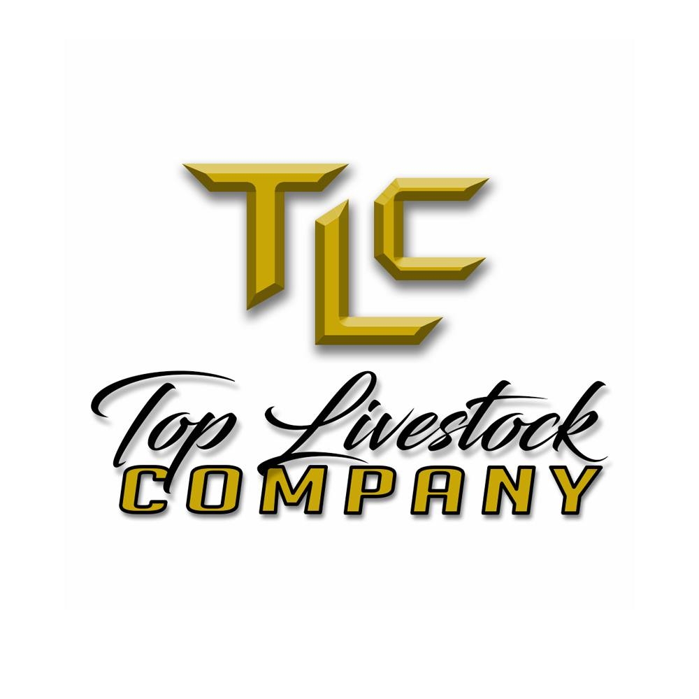 CYAE Sale Of Champions | champion | CYAE Sale Of Champions | By Top ...