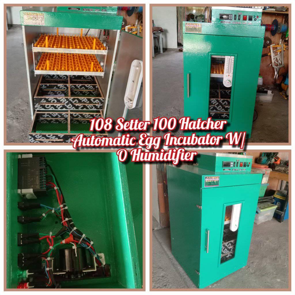 Done Delivered!.. 2 Layer 4 Doors Brooder #metachallenge #breeding # ...