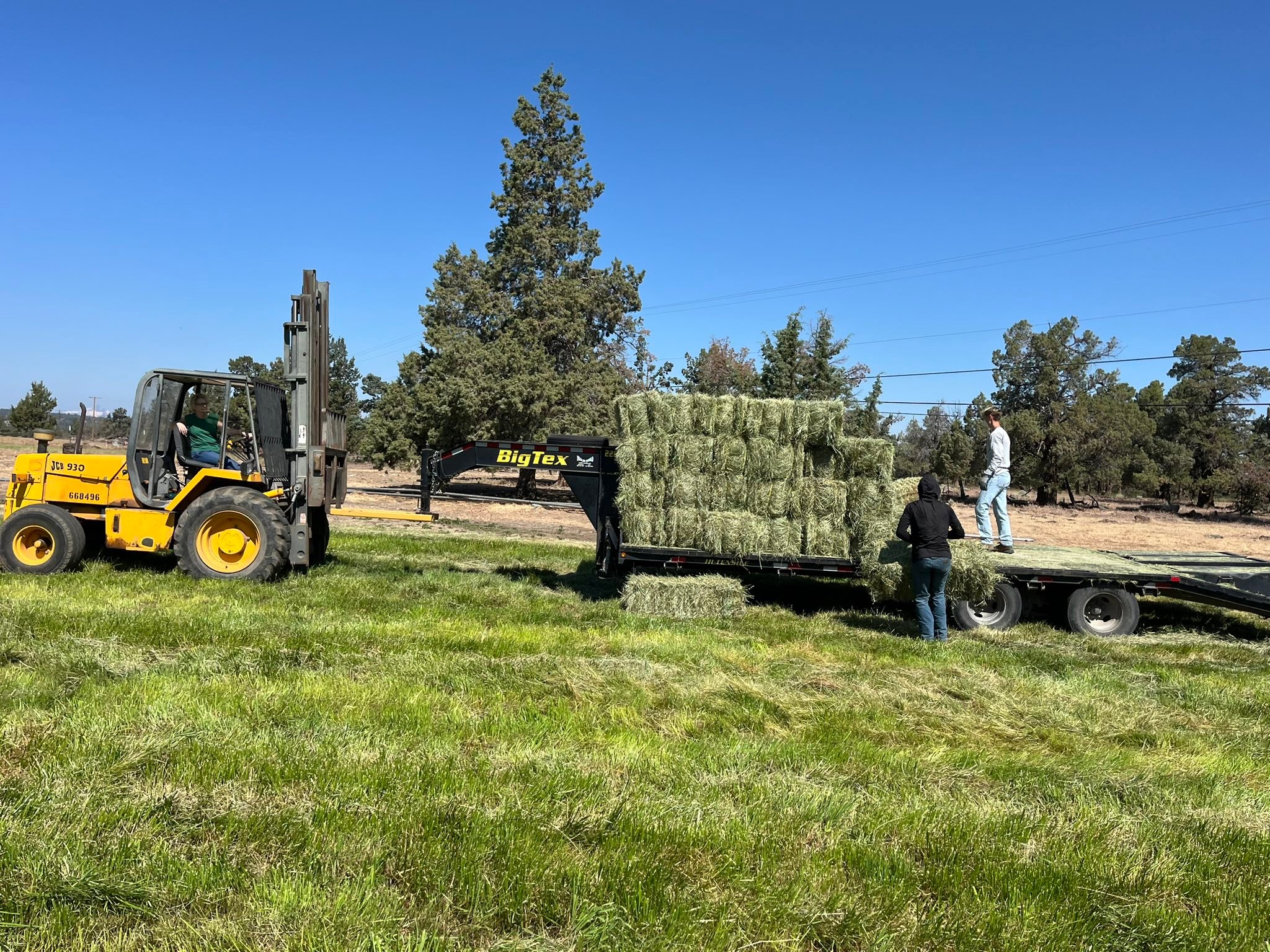 Rocking Double K Ranch added a... - Rocking Double K Ranch