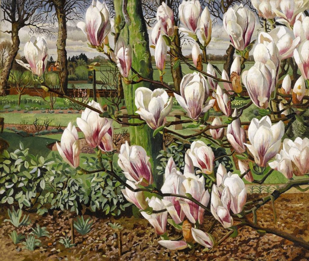 Rock roses. Old Lodge. Taplow. By Stanley Spencer, **(1957)