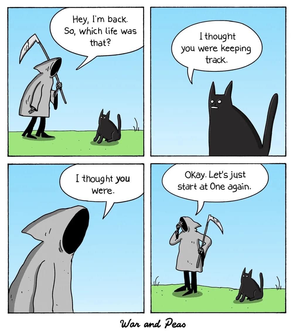 INTJ Humor | New City NY