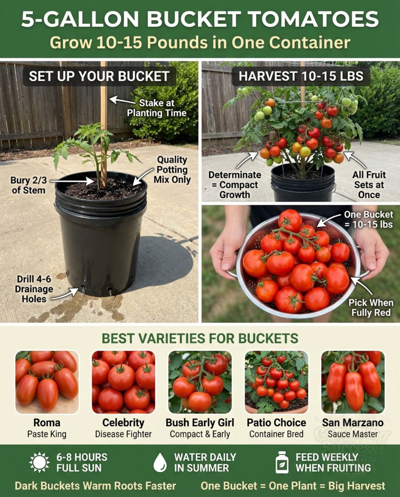 -Gallon Bucket Tomatoes: Big... - Gardening Success Tips | Facebook