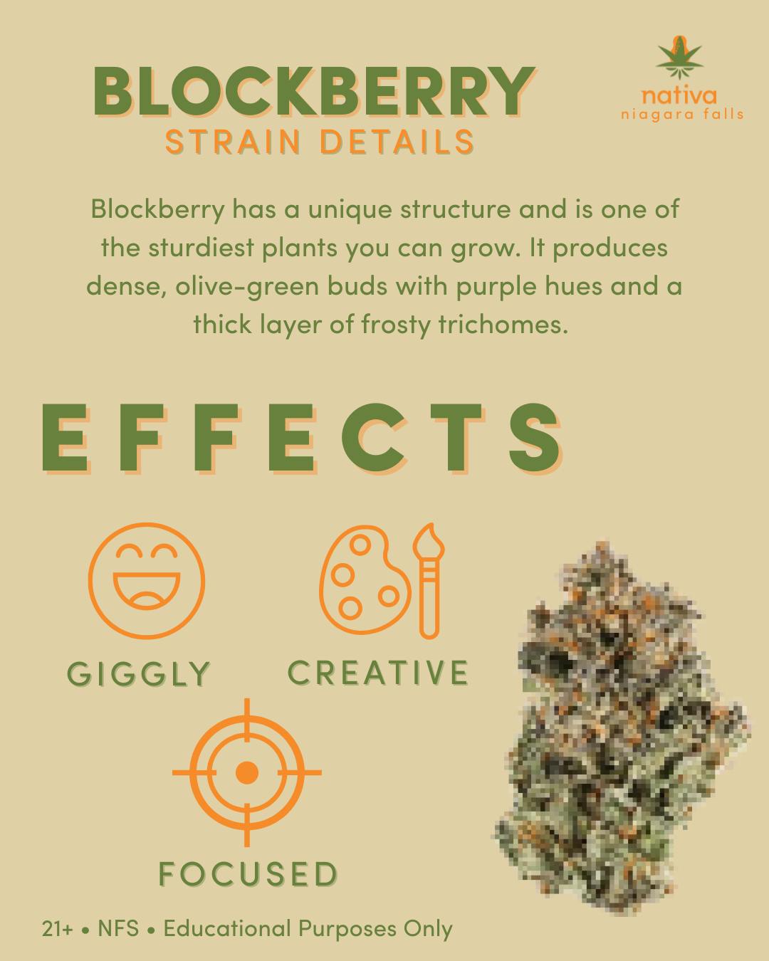 Nativa Cannabis | Niagara Falls NY