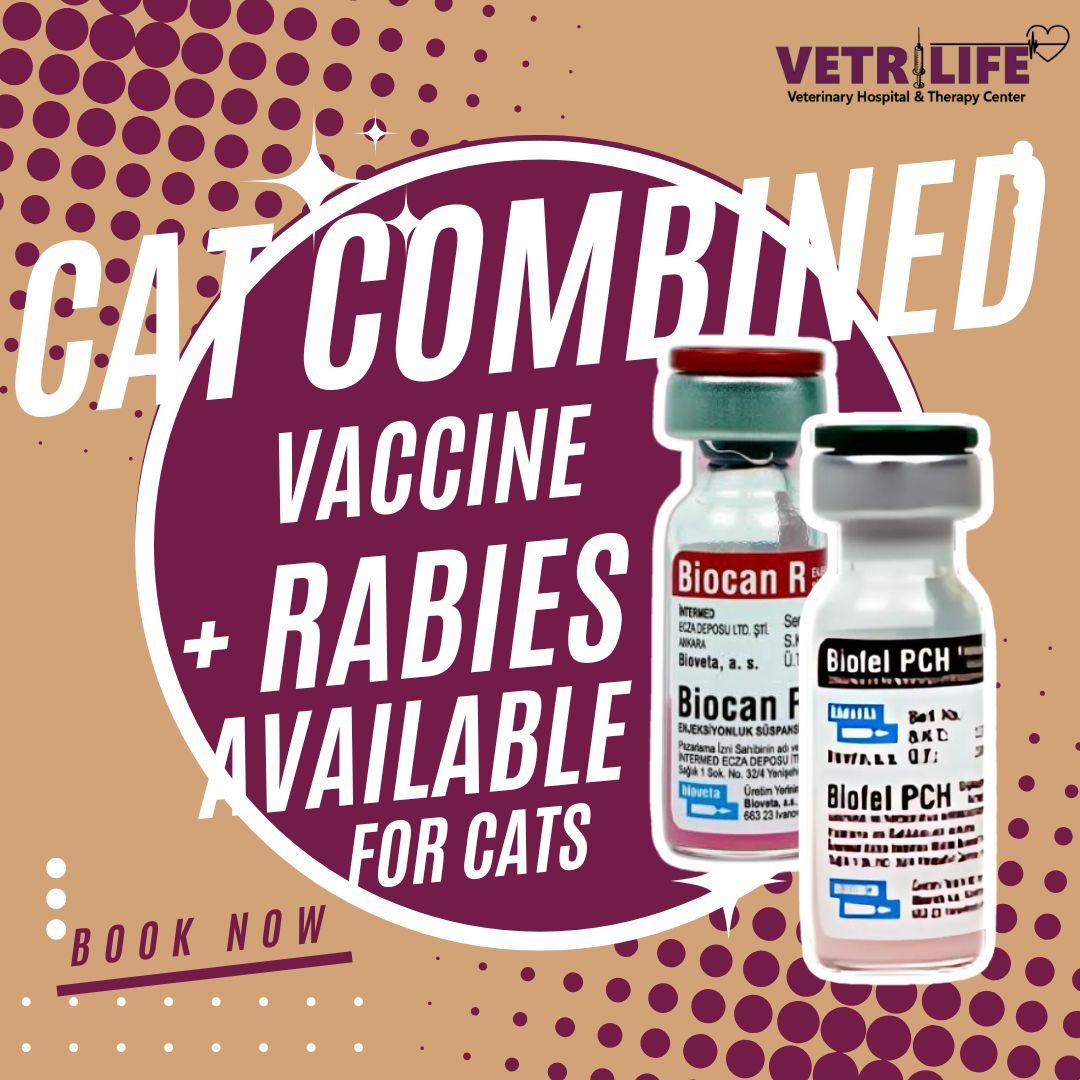 Vetrilife Veterinary Hospital & Therapy Center