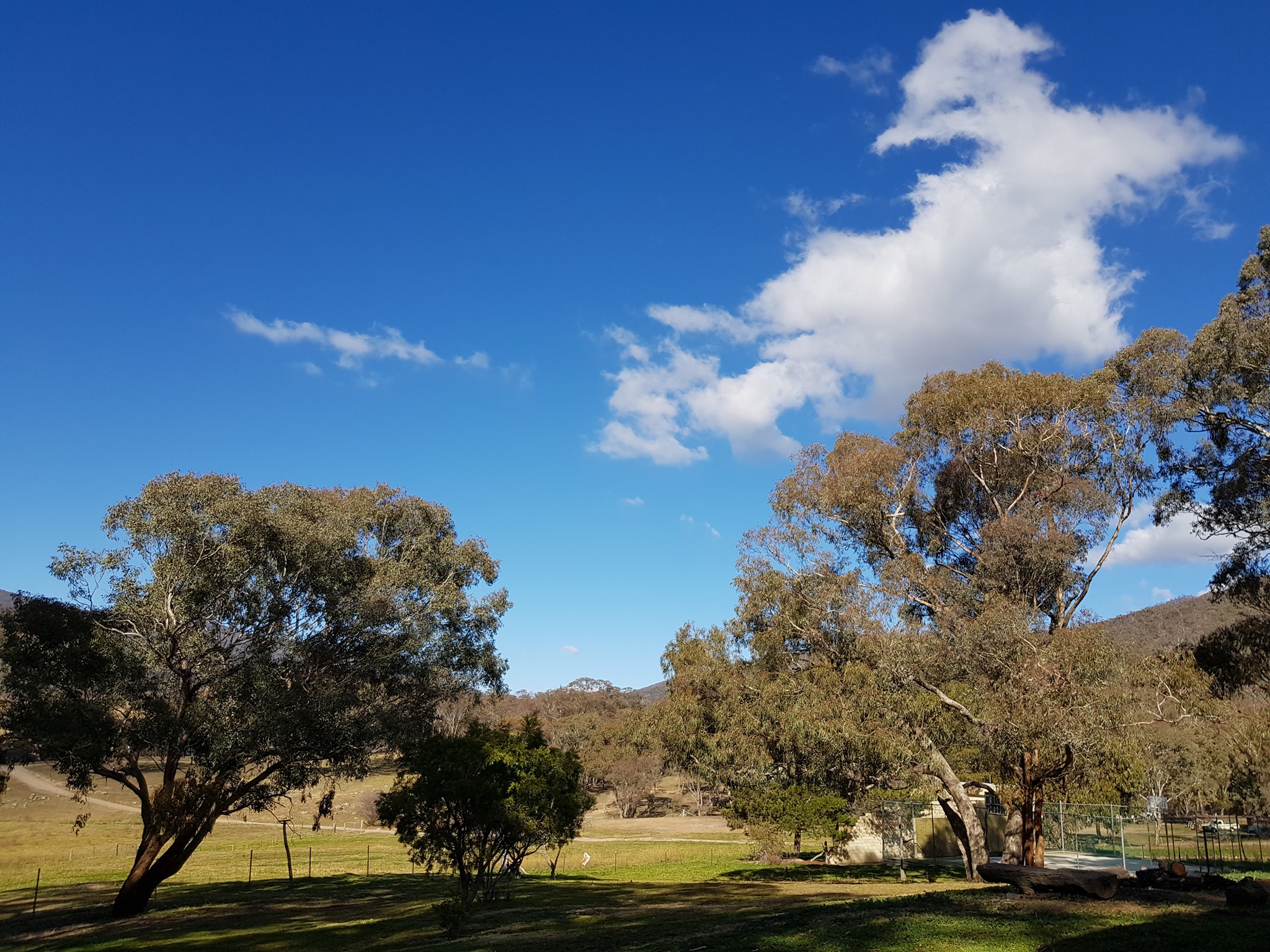 Caloola Farm | Canberra ACT