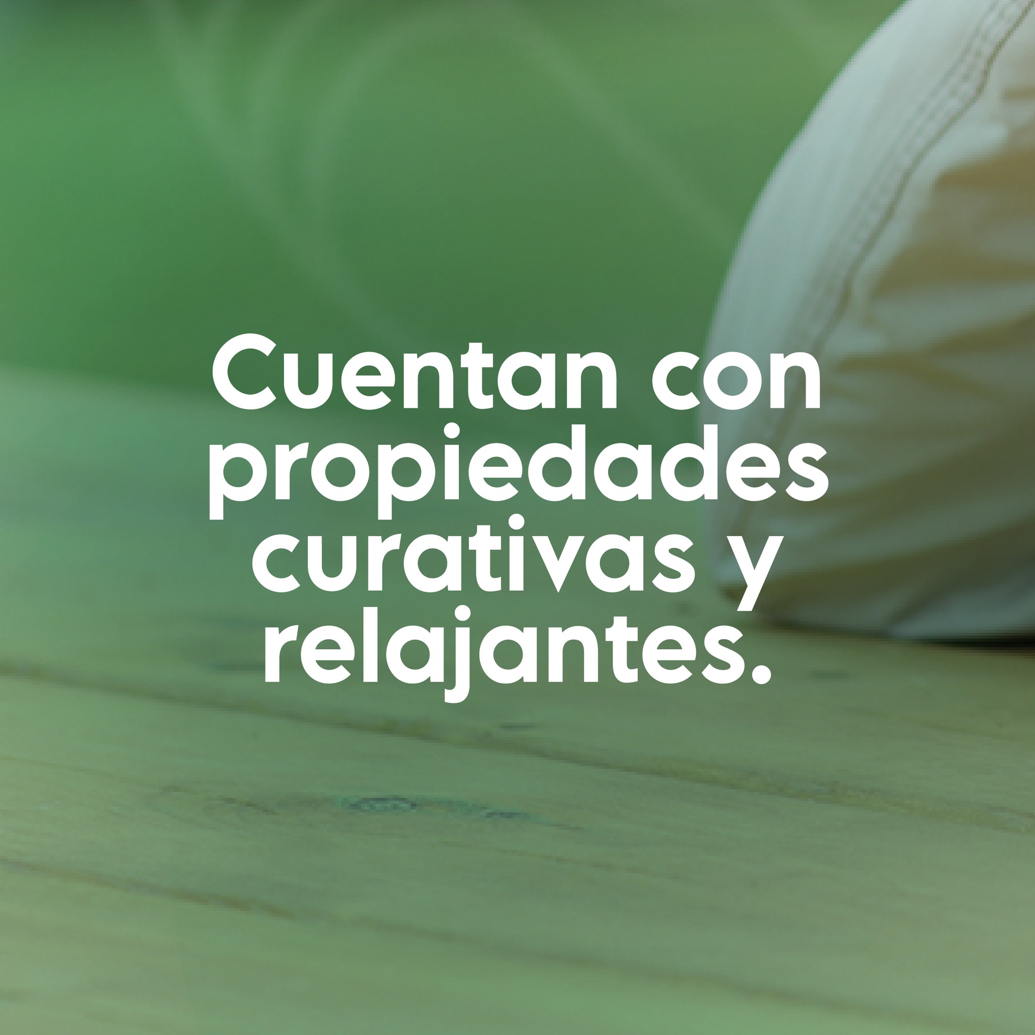 Pasinerva - ¡Descubre los increíbles beneficios de los...