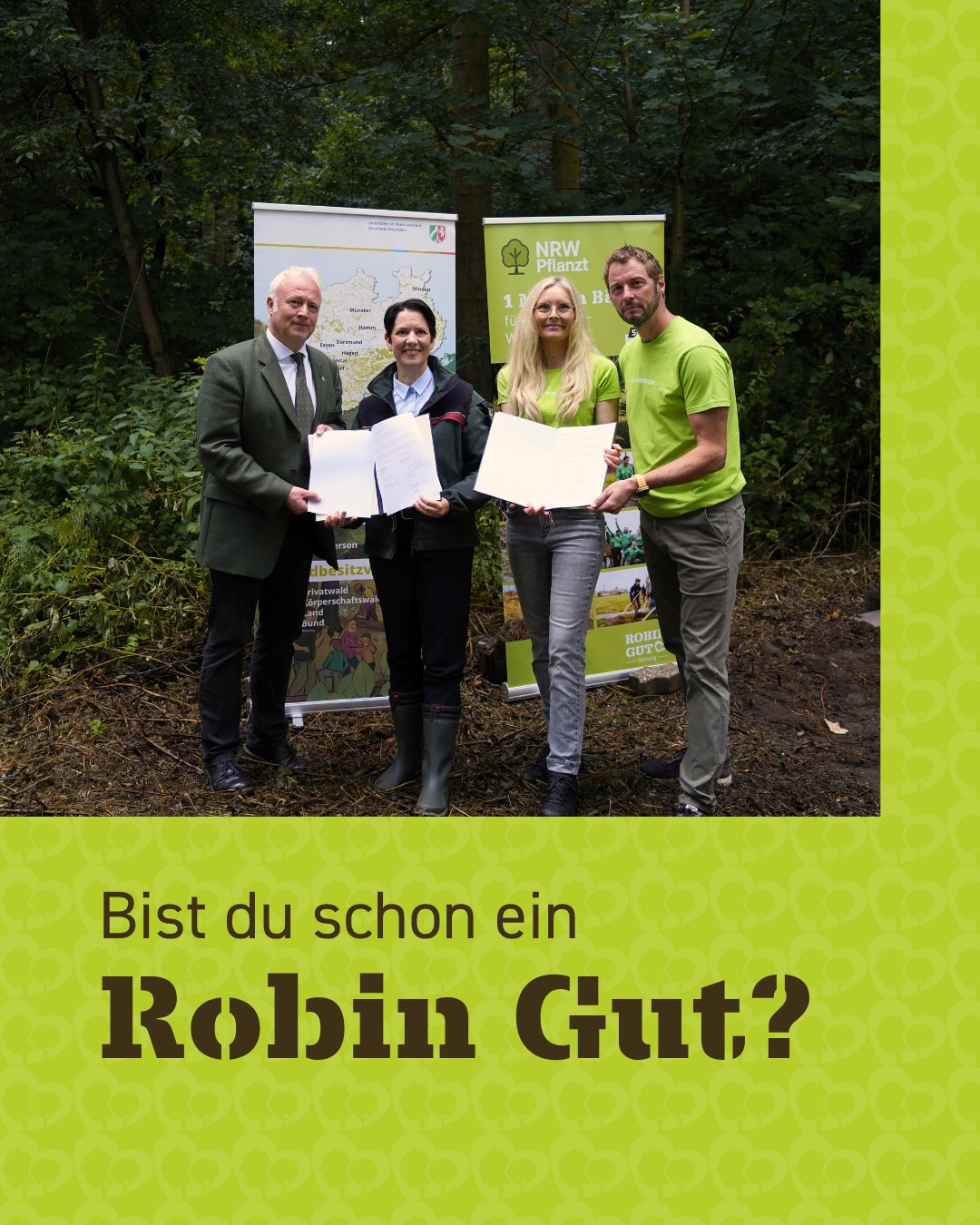 Robin Gut