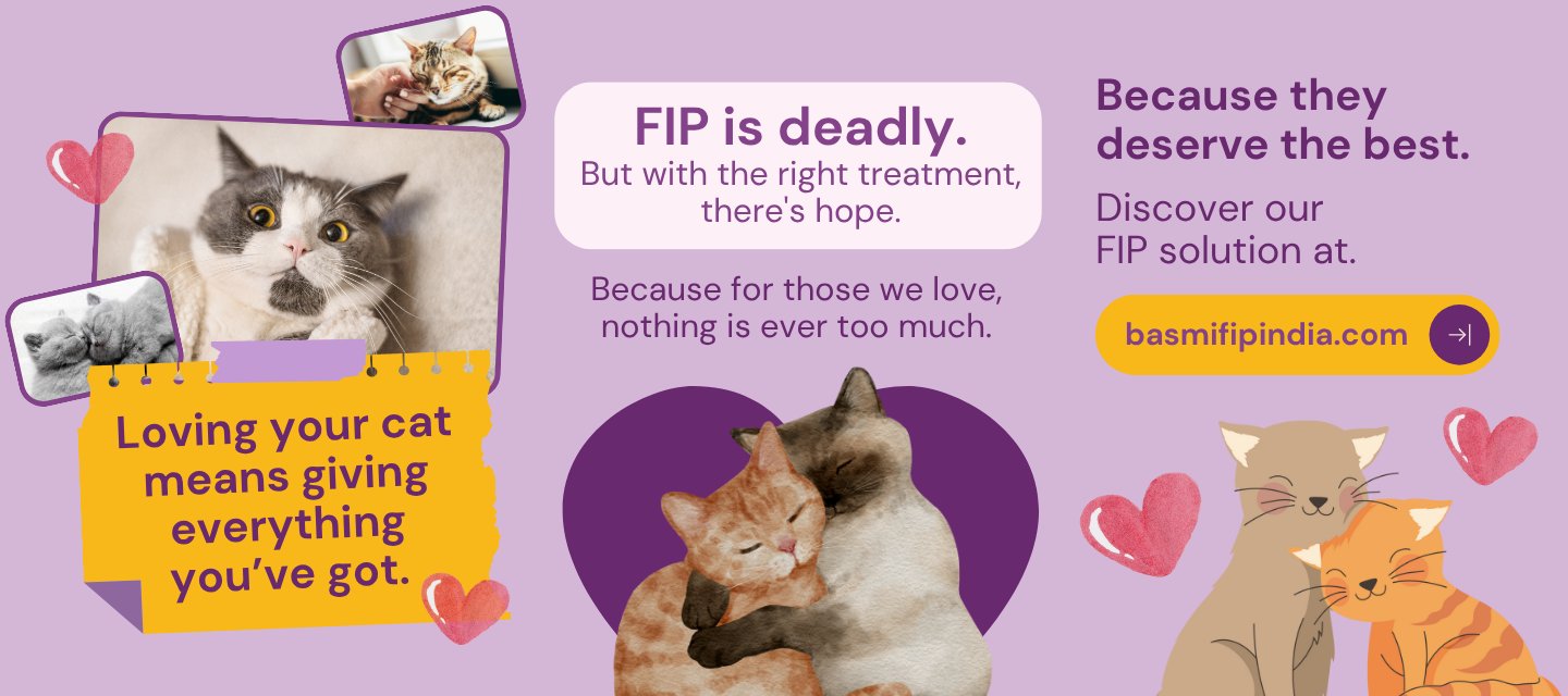 how to give a b12 injection to a cat Cyanocobalamin Injection Vitamin Cats Basmi Injection Fip Vitamin B12 Injection For Cats Great News Pack Size:6 Pack Pernicious Anemia Cortisone Injections | Gulfport,
