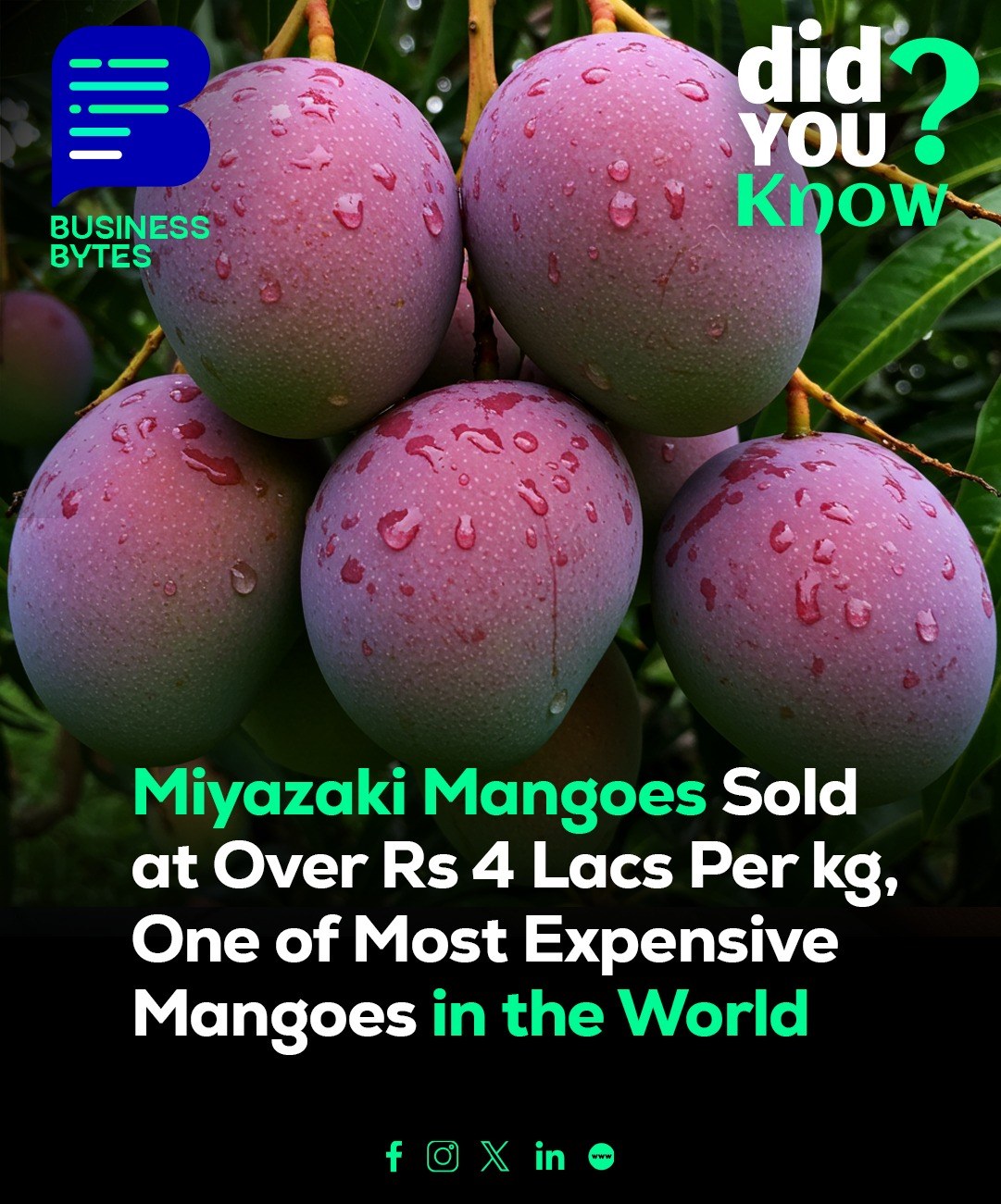 Business - Did You Know? There’s a rare mango that’s not yellow or ...