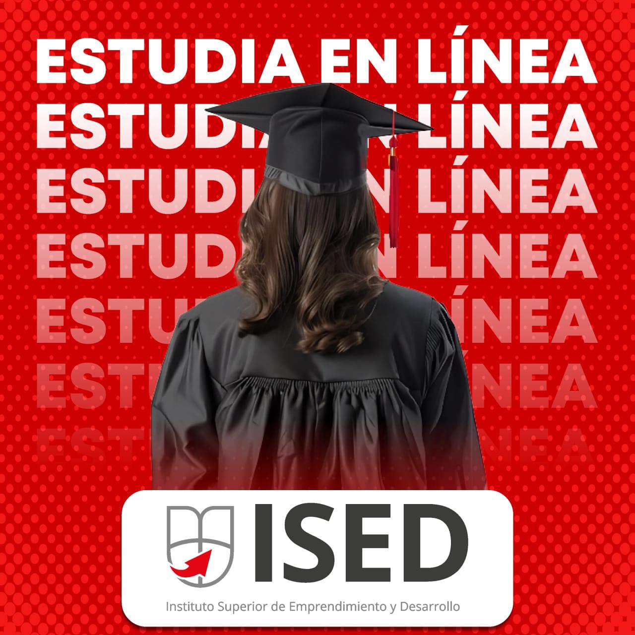 ISED - ¡Estudia en línea con ISED! 💻🦅 ¿Quieres alcanzar tus metas ...