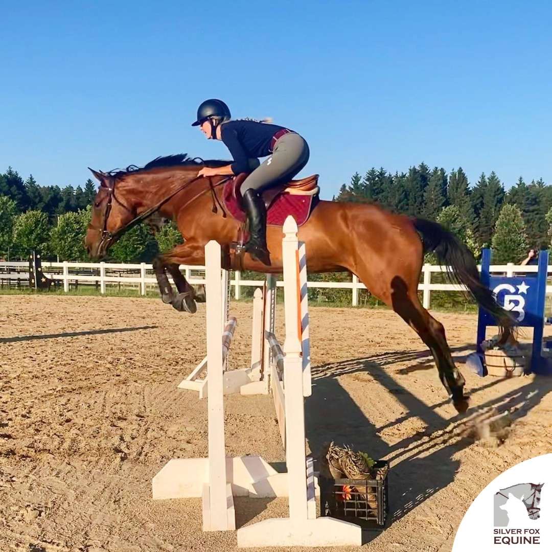 Our SFE Show Series features $2500 in... - Silver Fox Equine