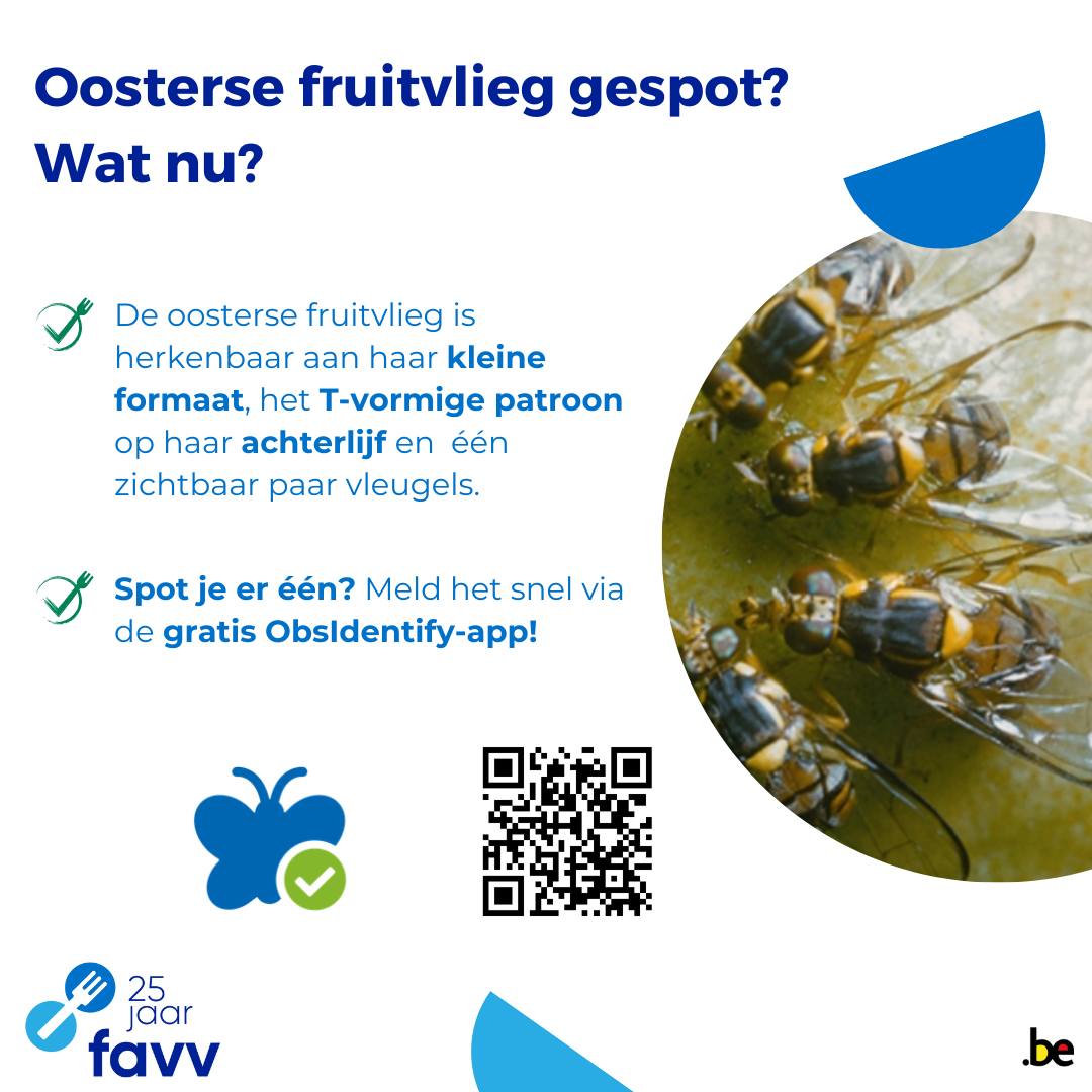 Facilities and Management | Ninove