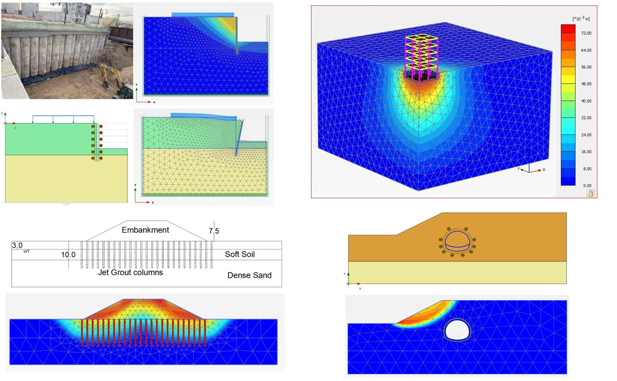 Dynamics 洋書 and Foundation Modeling Soil