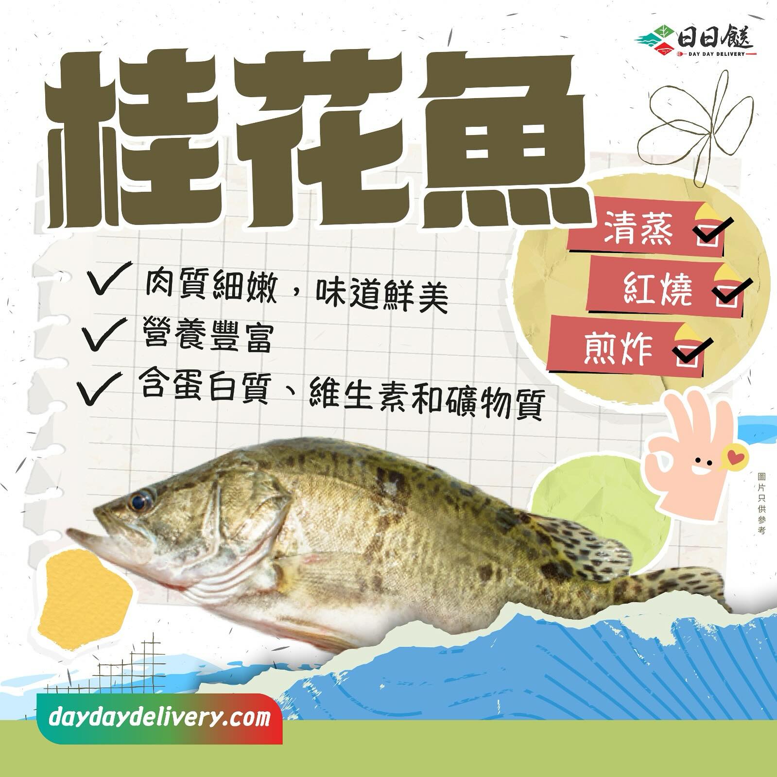 日日餸 - 桂花魚又稱鱖魚🐟，是一種珍貴的淡水魚類。📝它肉質細嫩，味道鮮美，營養豐富，是餐桌上的佳餚。👨🏻‍🍳👨🏻‍🍳在烹飪方面，桂魚適合多種 ...