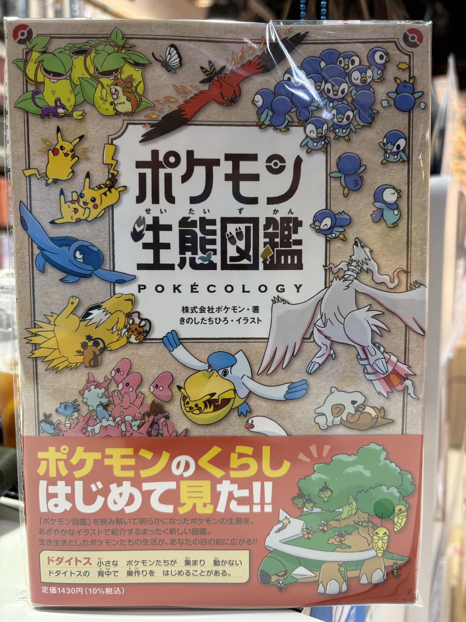 ちゅうた様 リクエスト 4点 まとめ商品 たっくん様 リクエスト 4点 