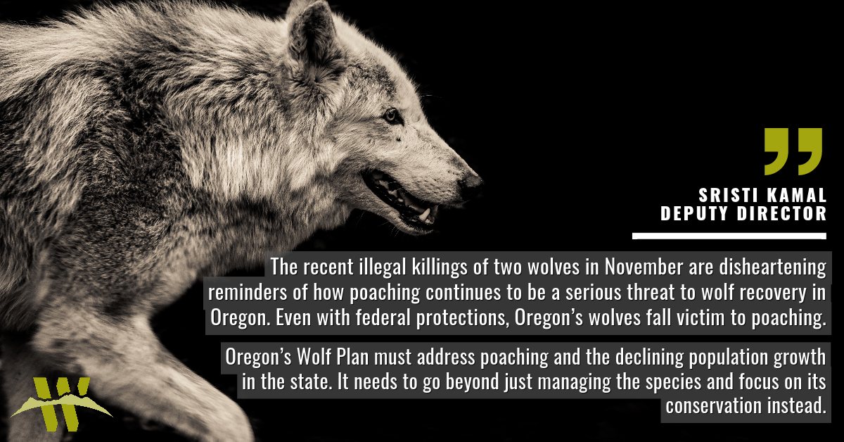 The recent illegal... - Western Environmental Law Center
