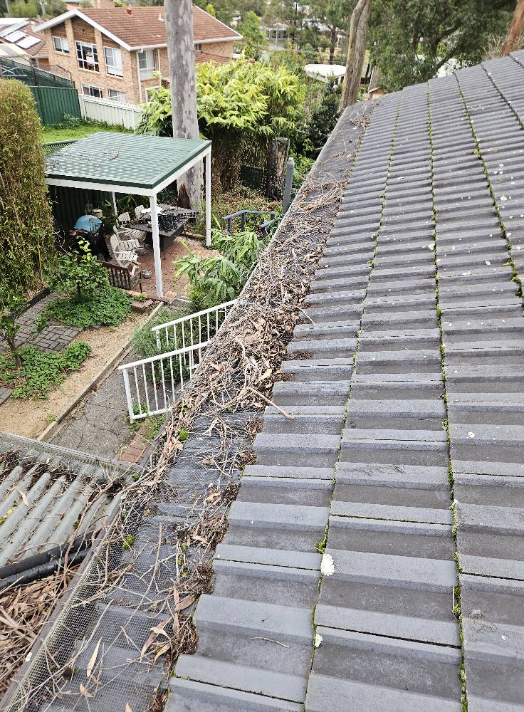 Gutter Buster in the Bay | Batemans Bay NSW