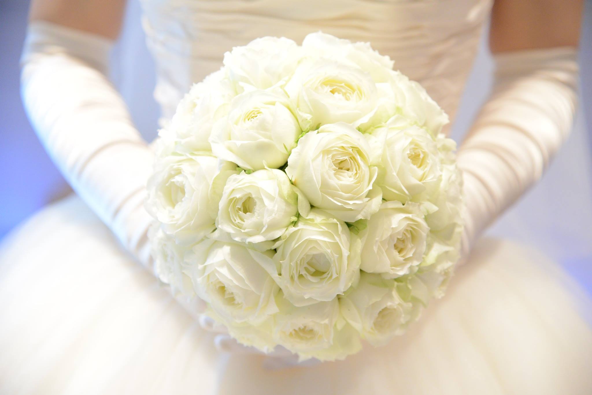 LES NOCES（レノス）ウエディングドレス