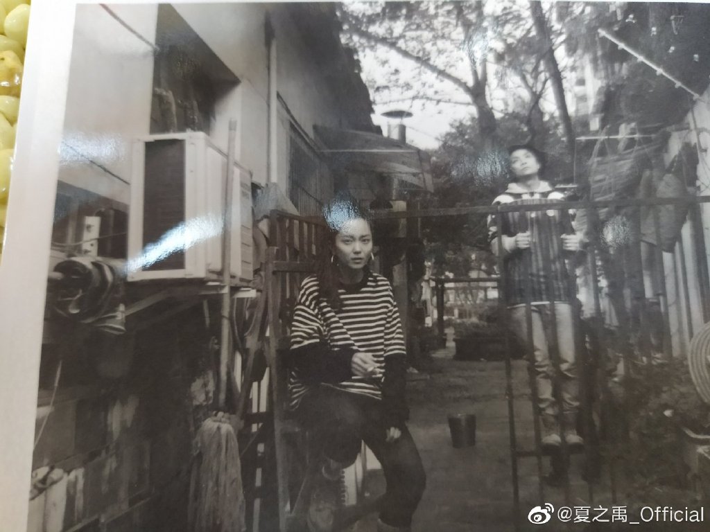 夏之禹