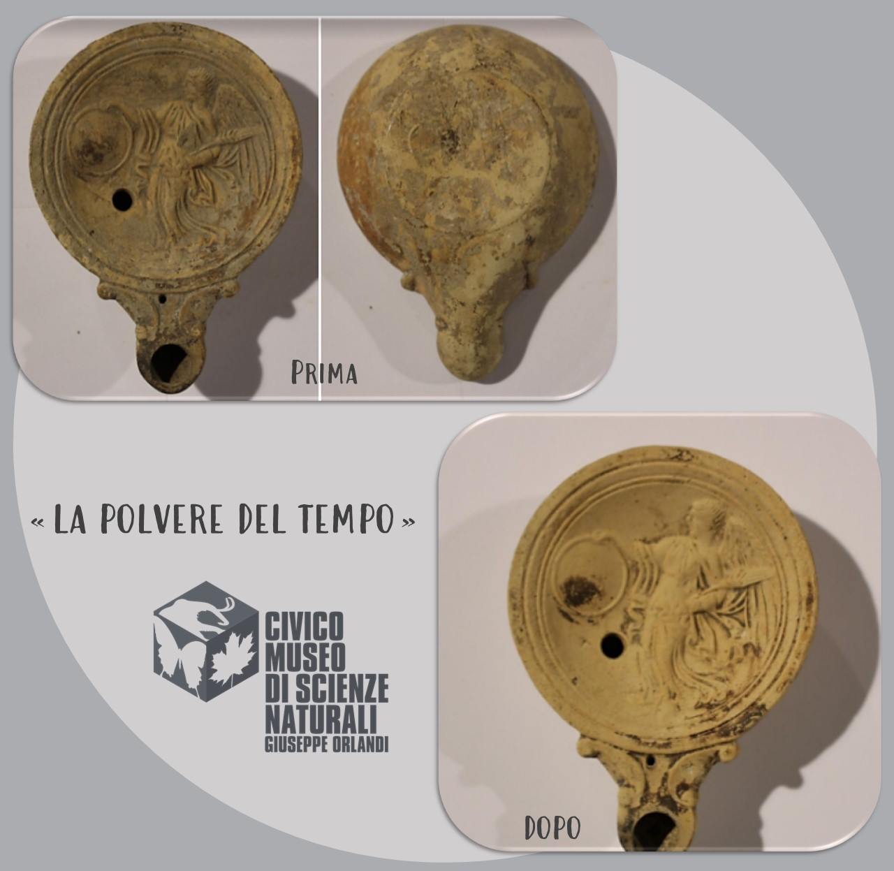 🧭#lapol... - Civico Museo di Scienze Naturali Giuseppe Orlandi