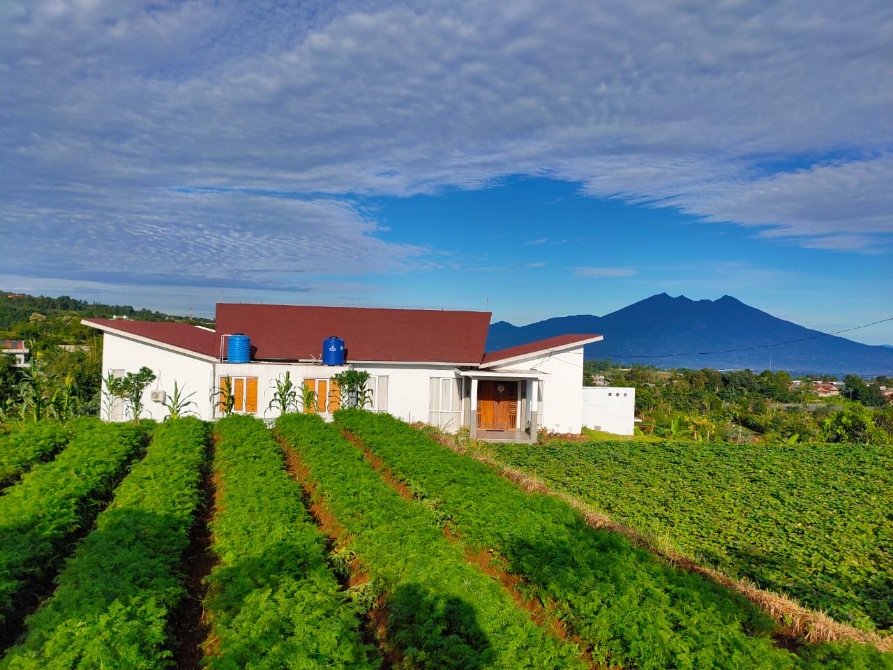 Resto Kebun Teduh - Kamu lagi cari tempat makan seru dan luas? Resto ...