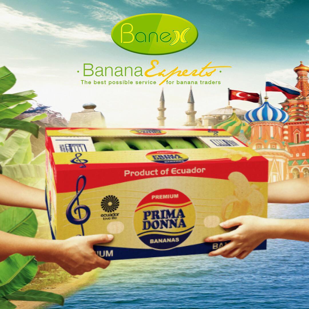 Visual Reference: Primadonna Our Commitment With All Our Customers Is To Guarantee