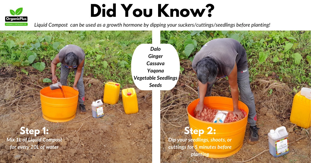 💡 Did you know? Liquid Compost improves... - OrganicPlus Fiji